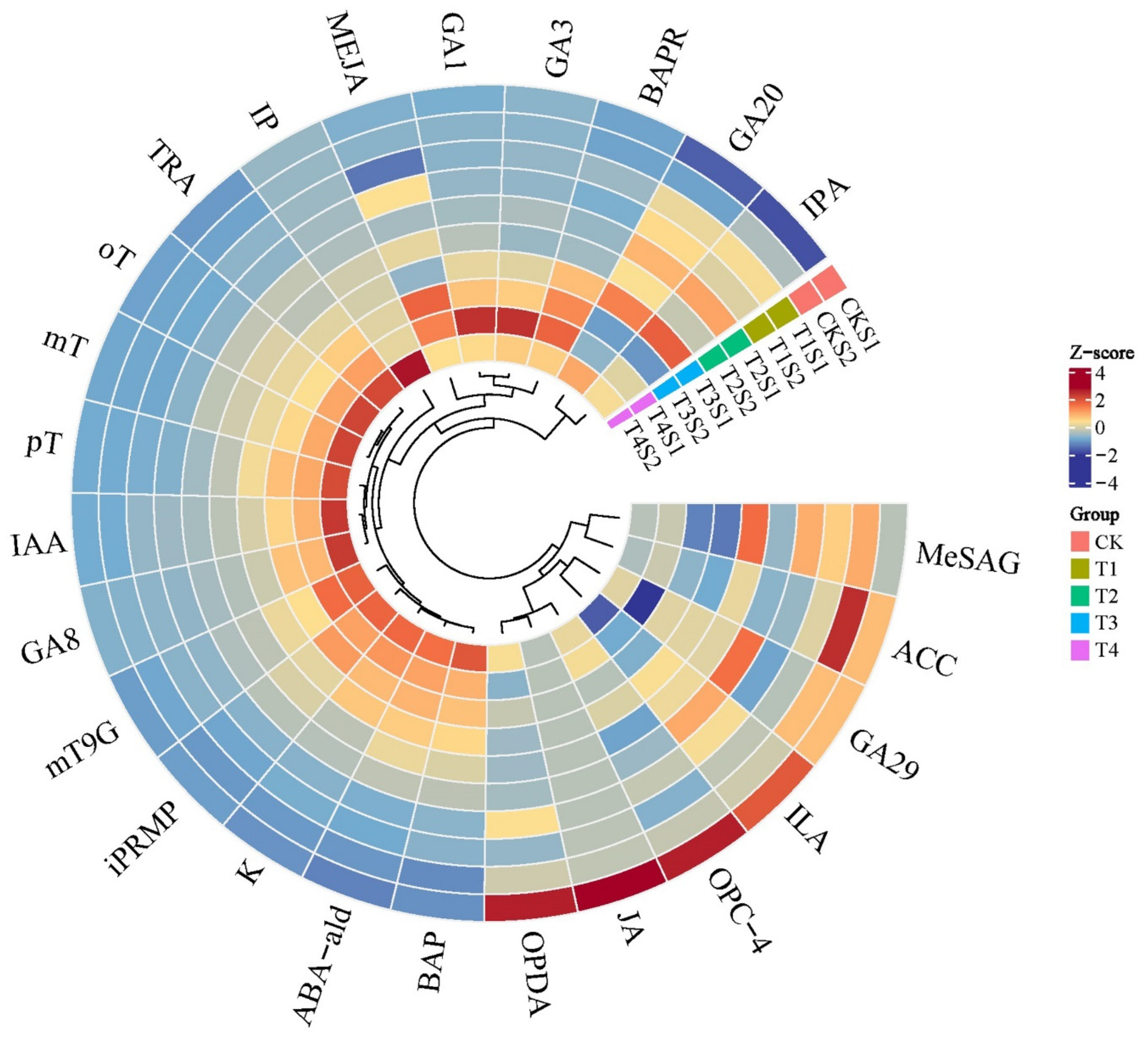 Ijms 26 11069 g005 Ijms 26 11069 g005