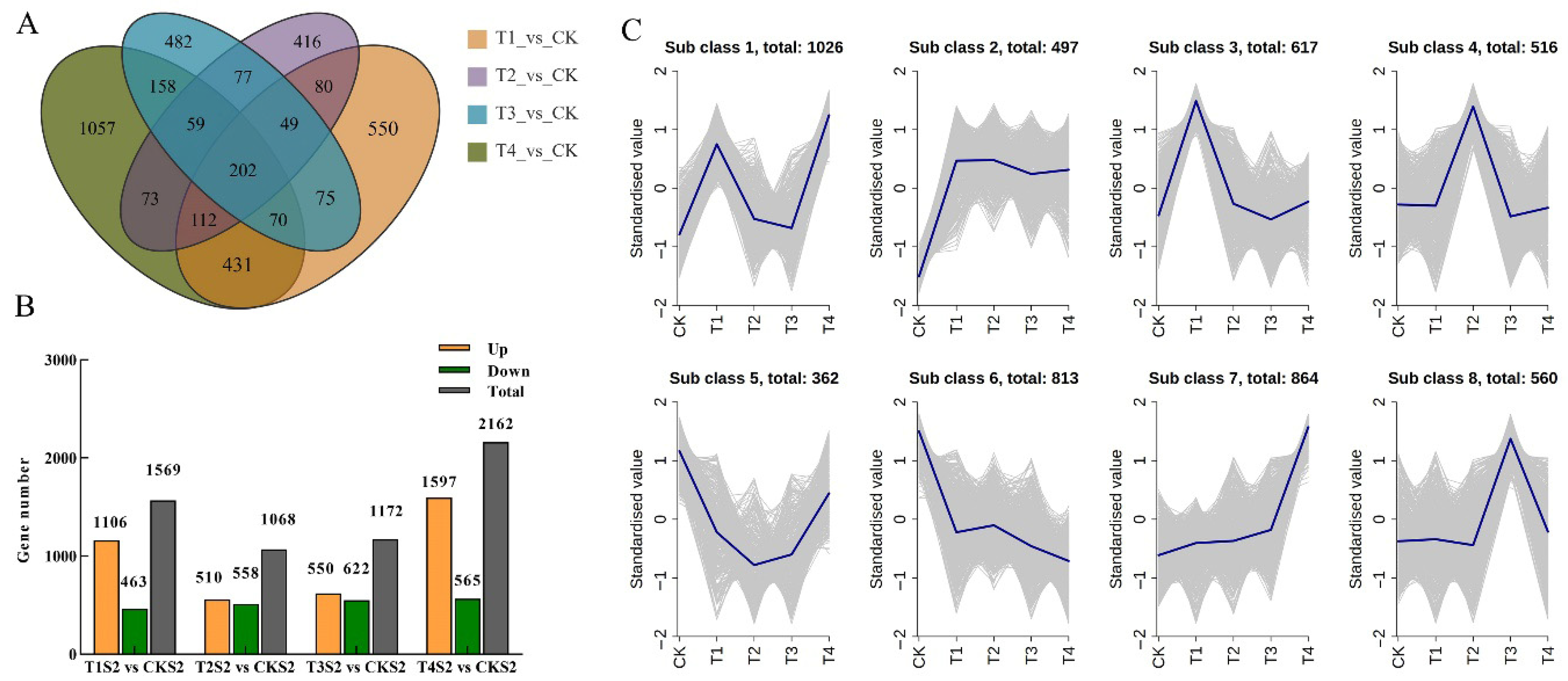 Ijms 26 11069 g008 Ijms 26 11069 g008