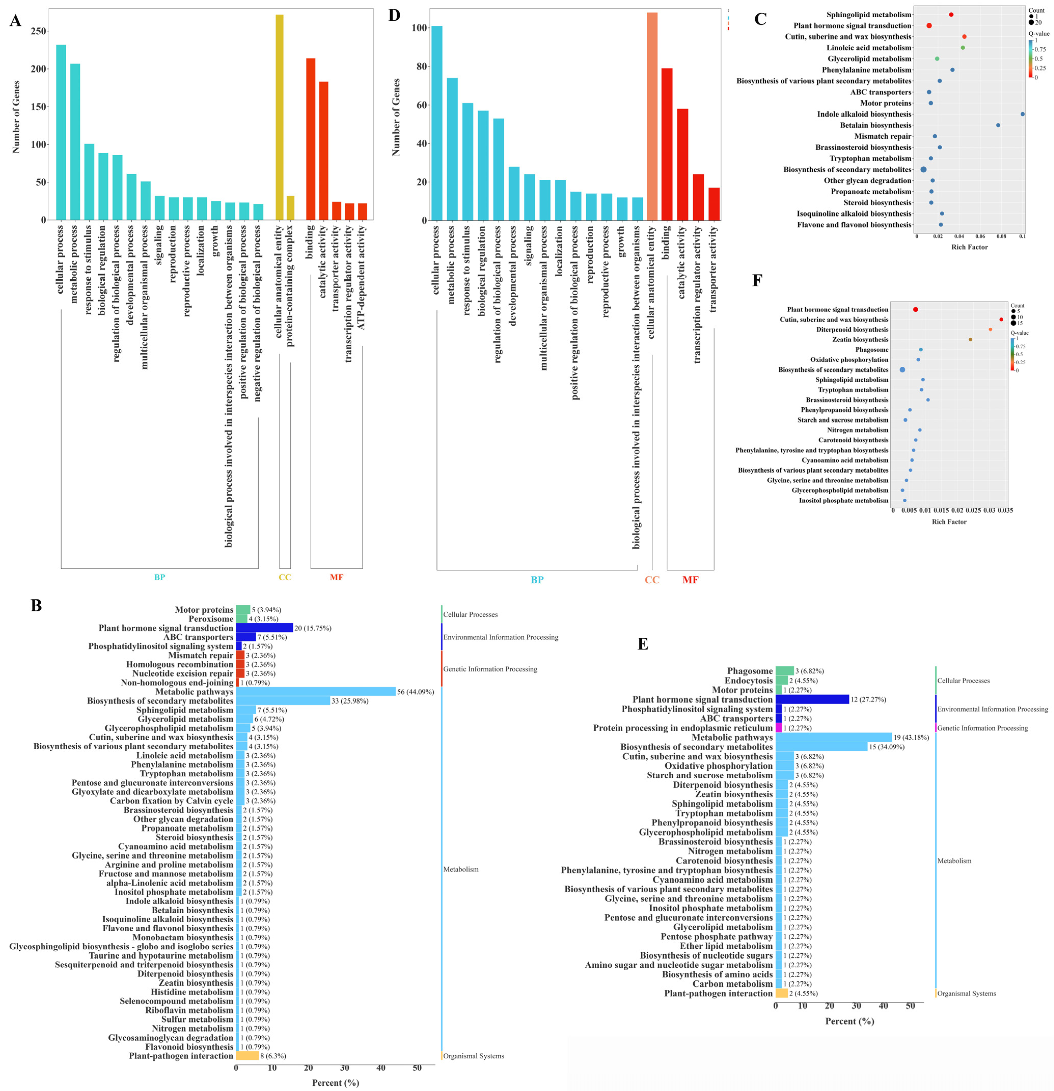 Ijms 26 11069 g009 Ijms 26 11069 g009