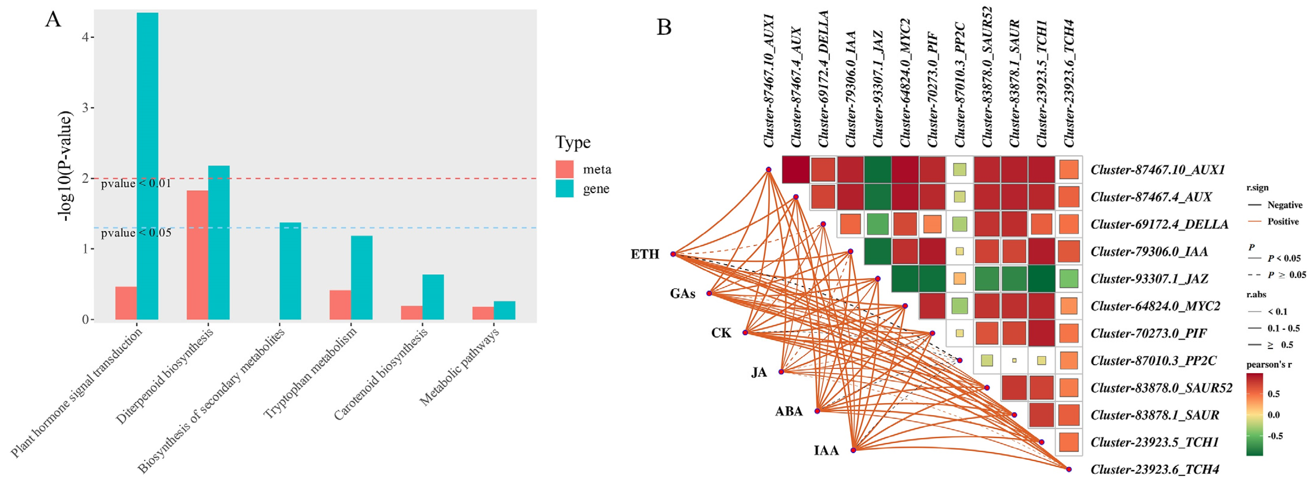 Ijms 26 11069 g010 Ijms 26 11069 g010