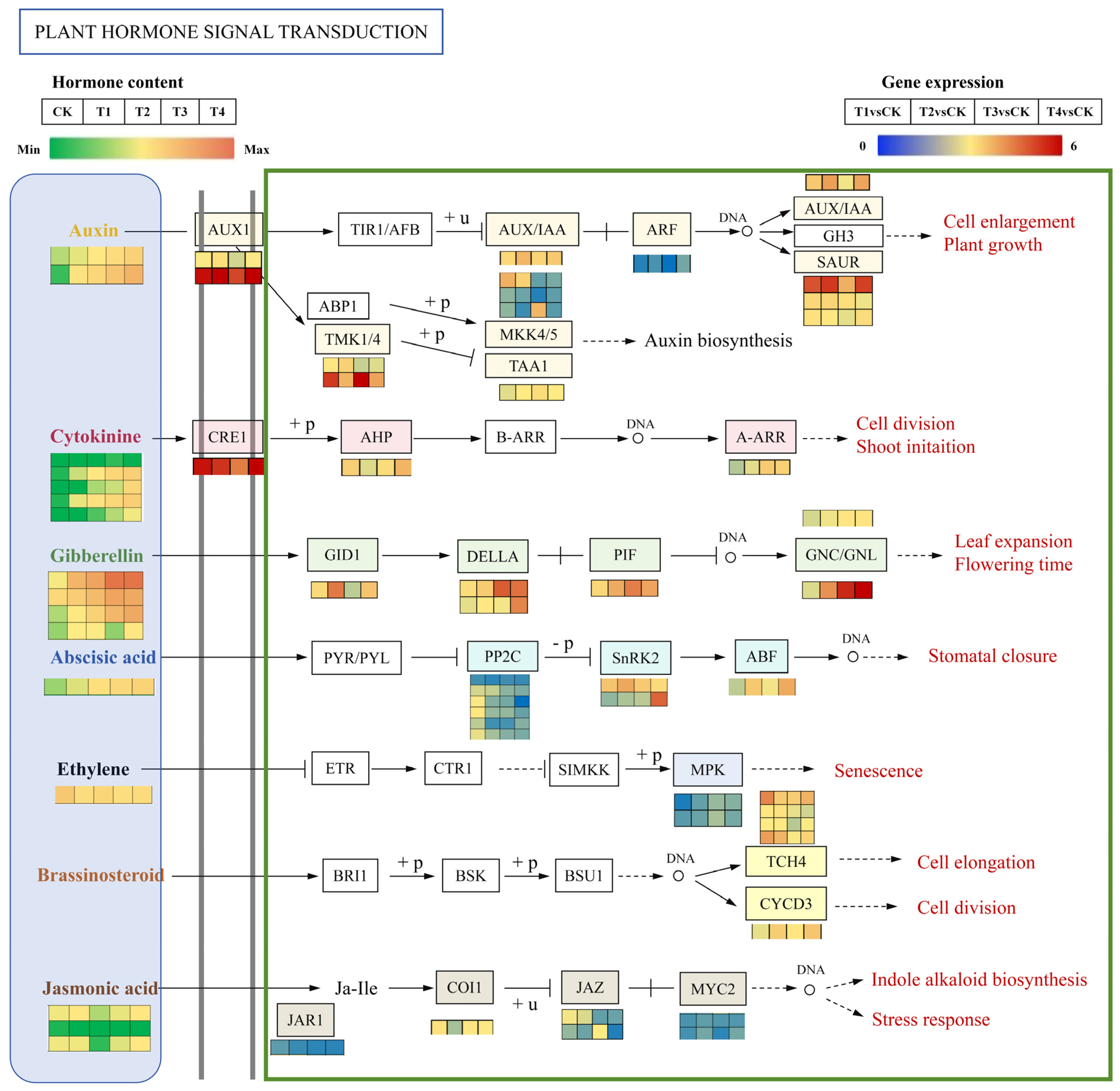 Ijms 26 11069 g011 Ijms 26 11069 g011