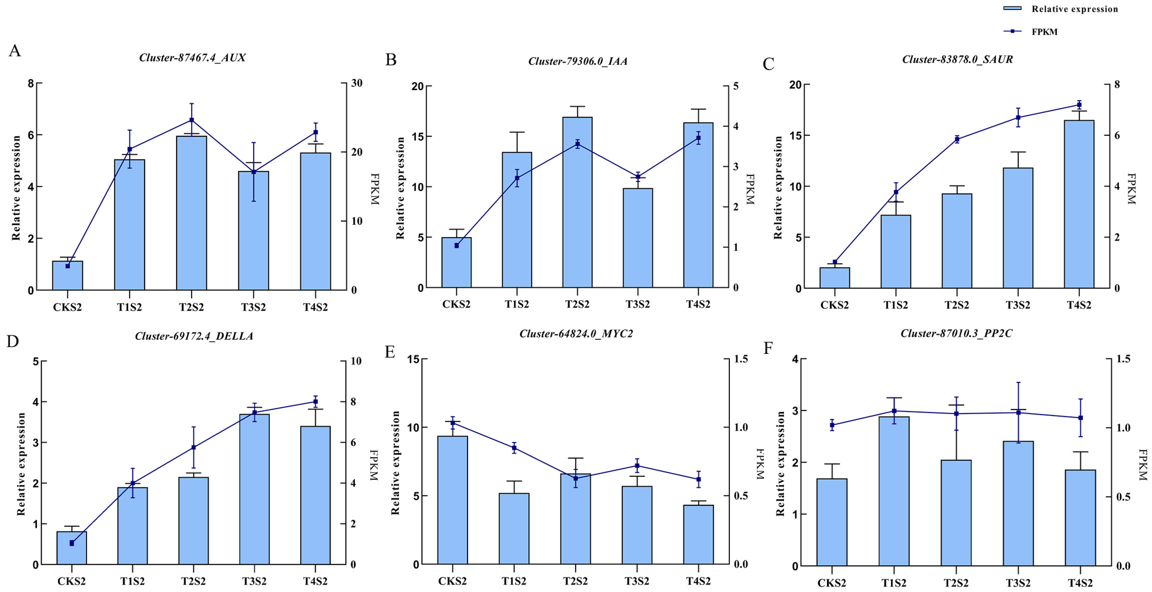 Ijms 26 11069 g012 Ijms 26 11069 g012