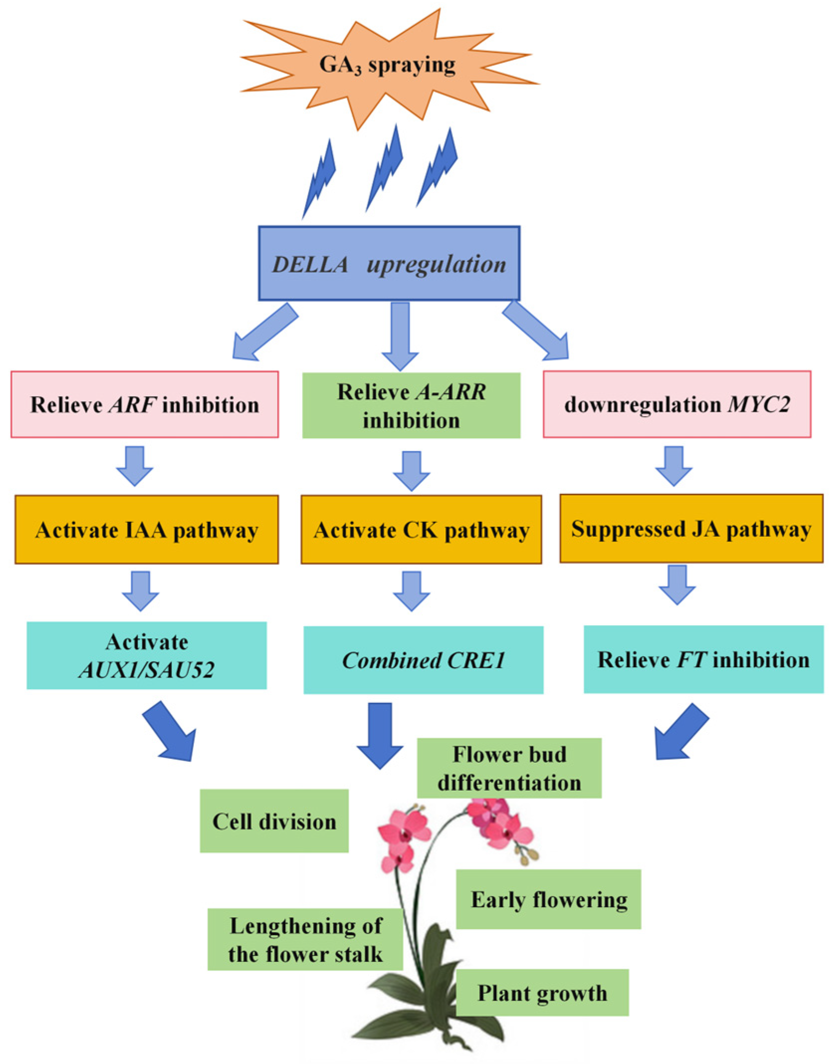 Ijms 26 11069 g013 Ijms 26 11069 g013