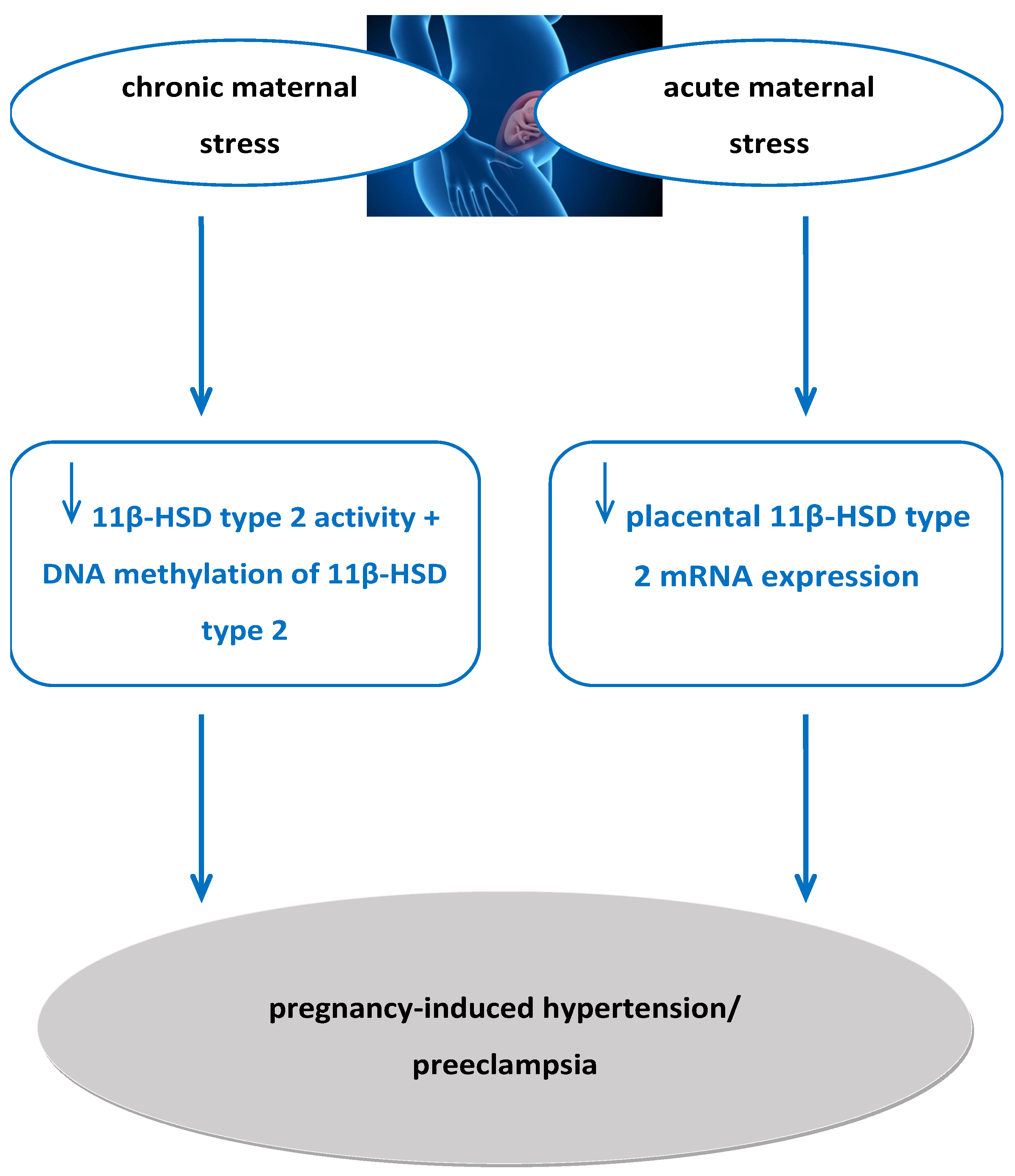 Ijms 26 11071 g001 Ijms 26 11071 g001