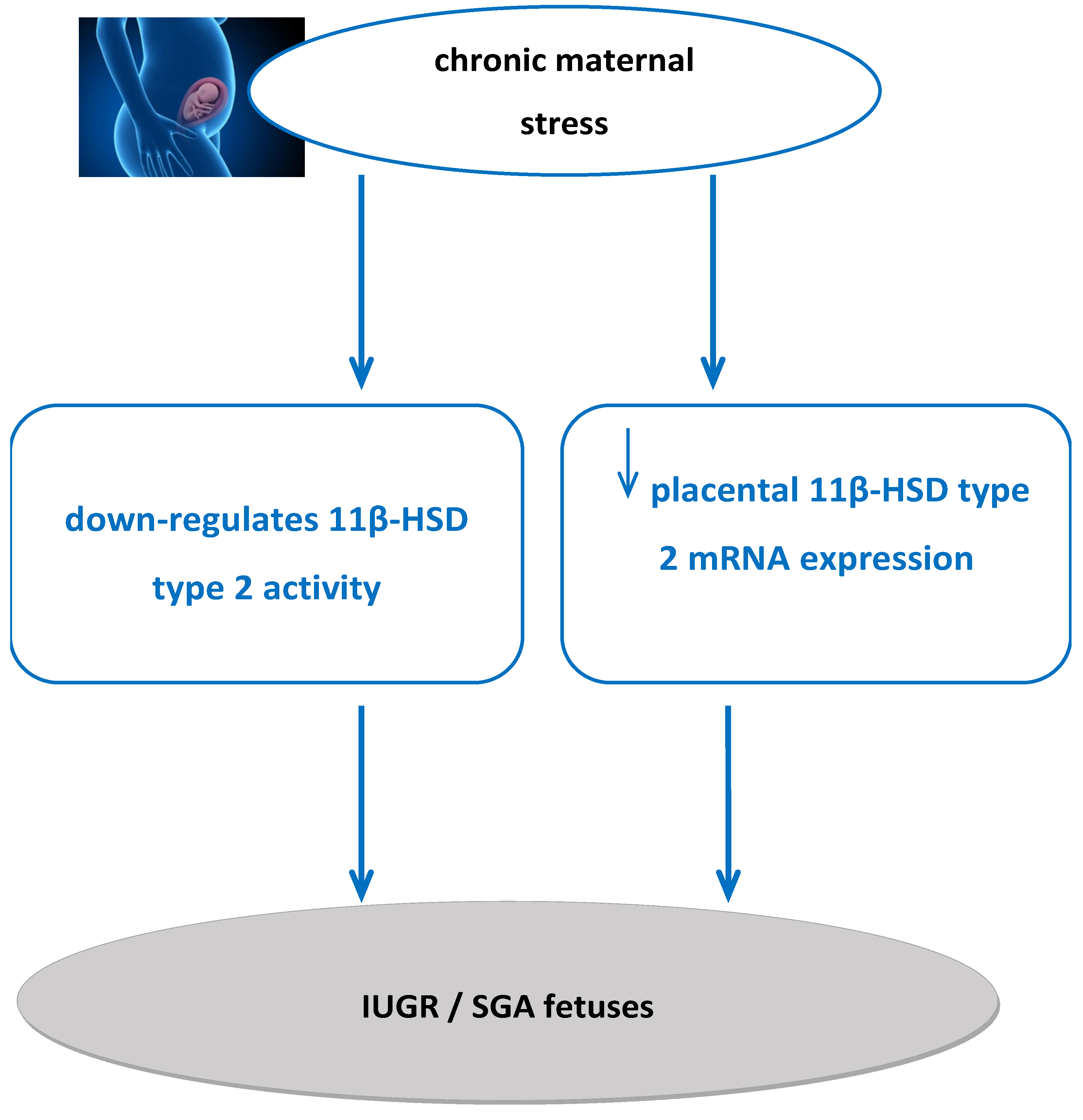 Ijms 26 11071 g003 Ijms 26 11071 g003