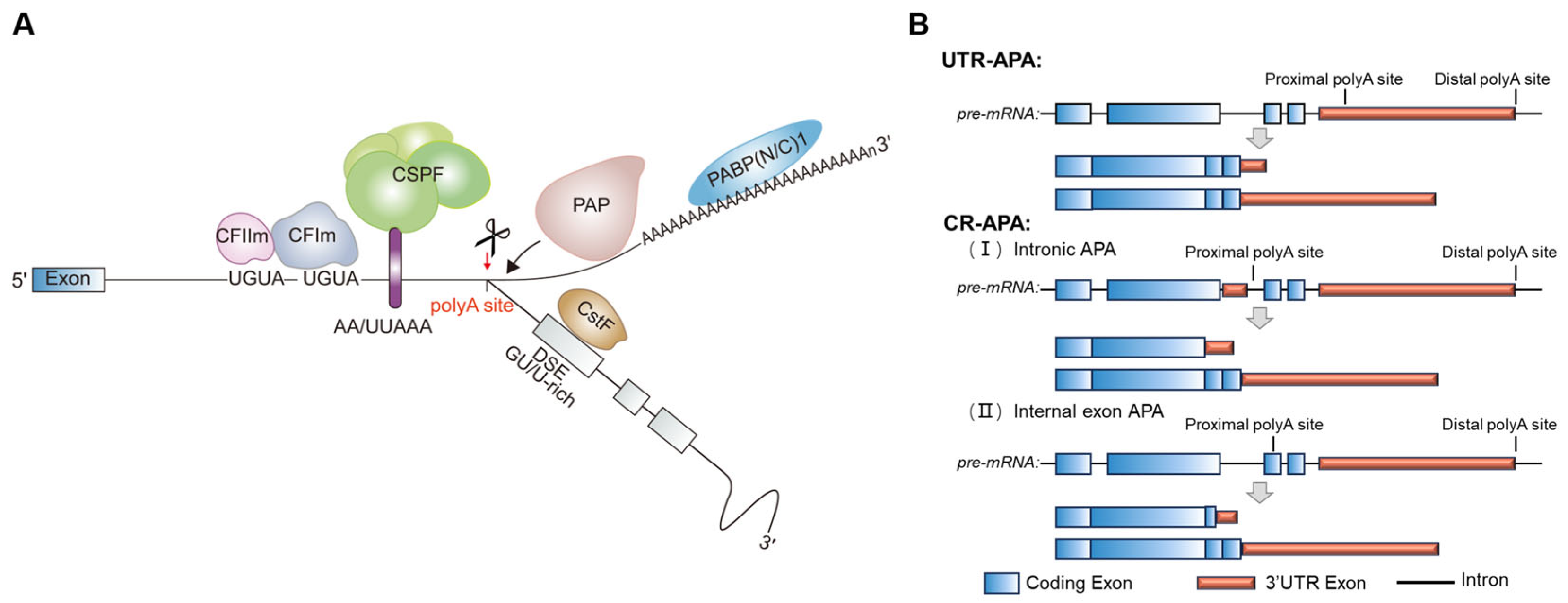 Ijms 26 11075 g003 Ijms 26 11075 g003