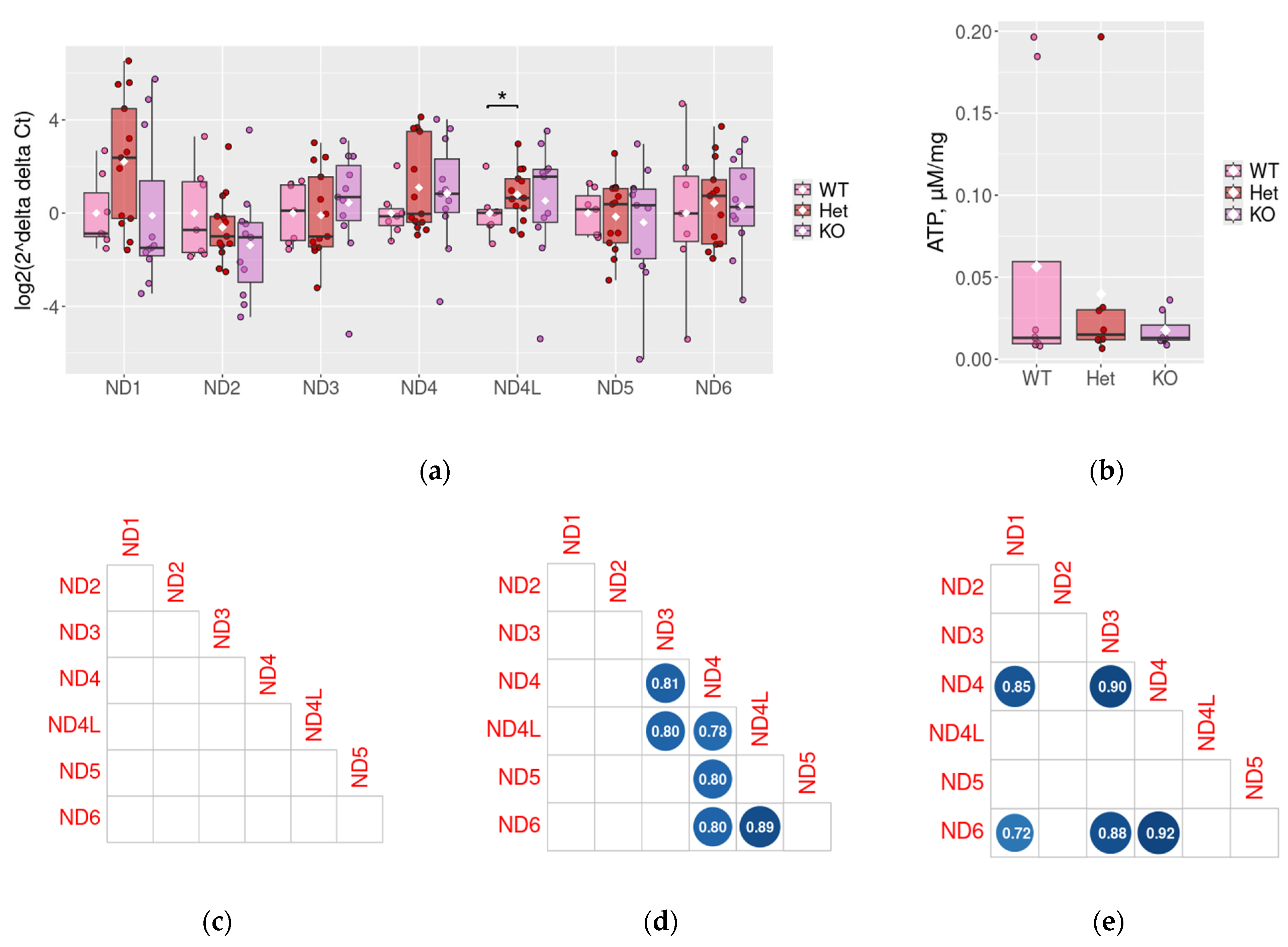 Ijms 26 11079 g003 Ijms 26 11079 g003