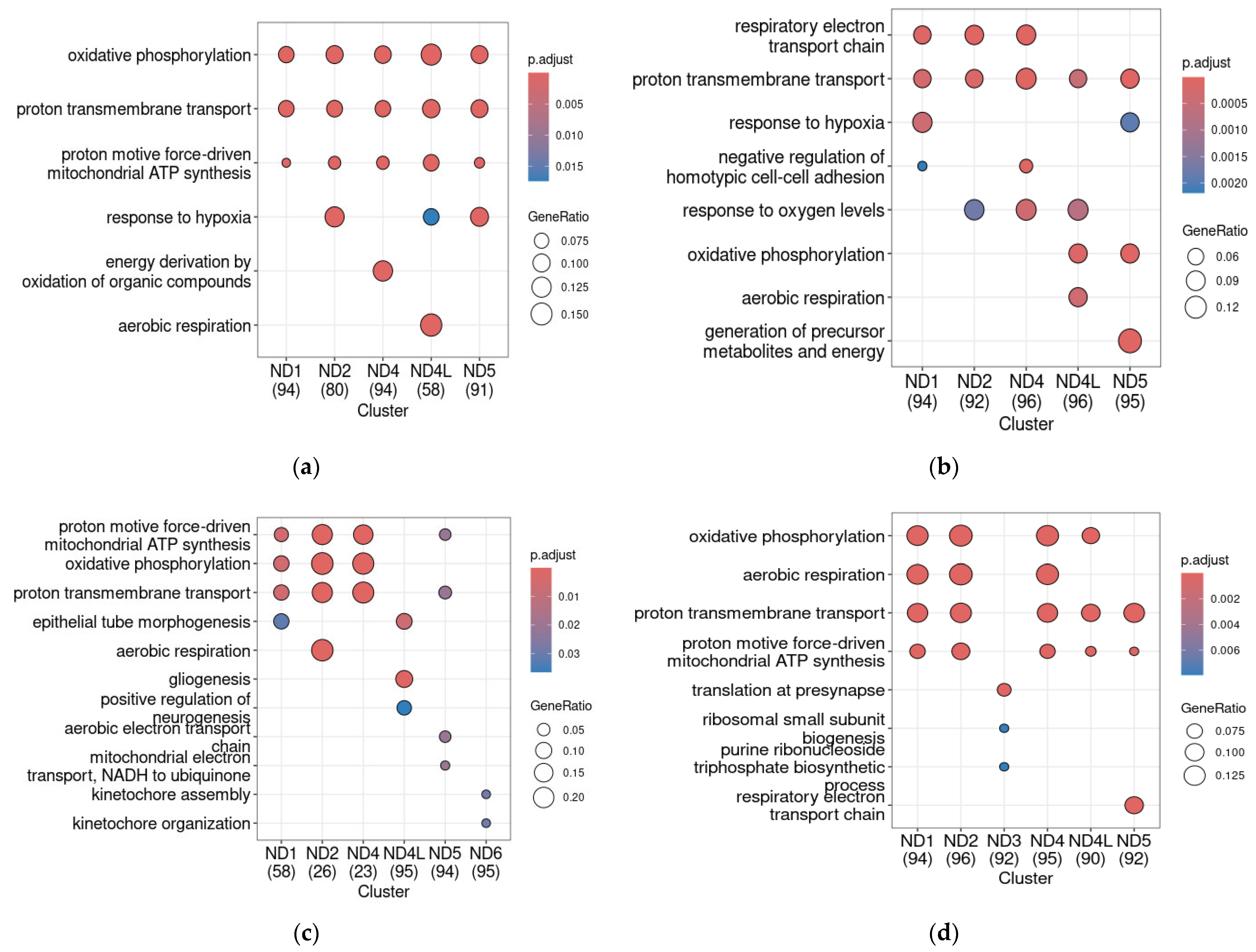 Ijms 26 11079 g004 Ijms 26 11079 g004