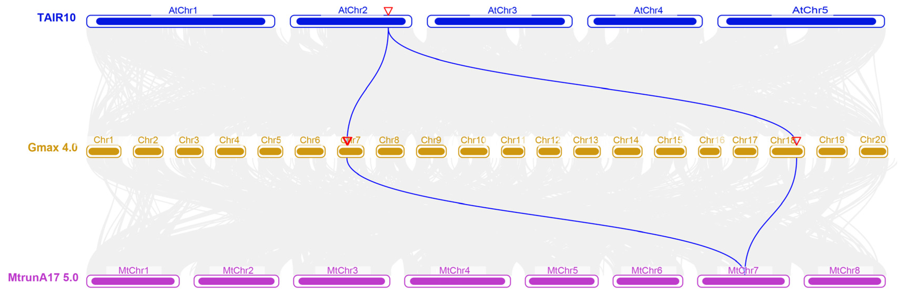 Ijms 26 11089 g002 Ijms 26 11089 g002