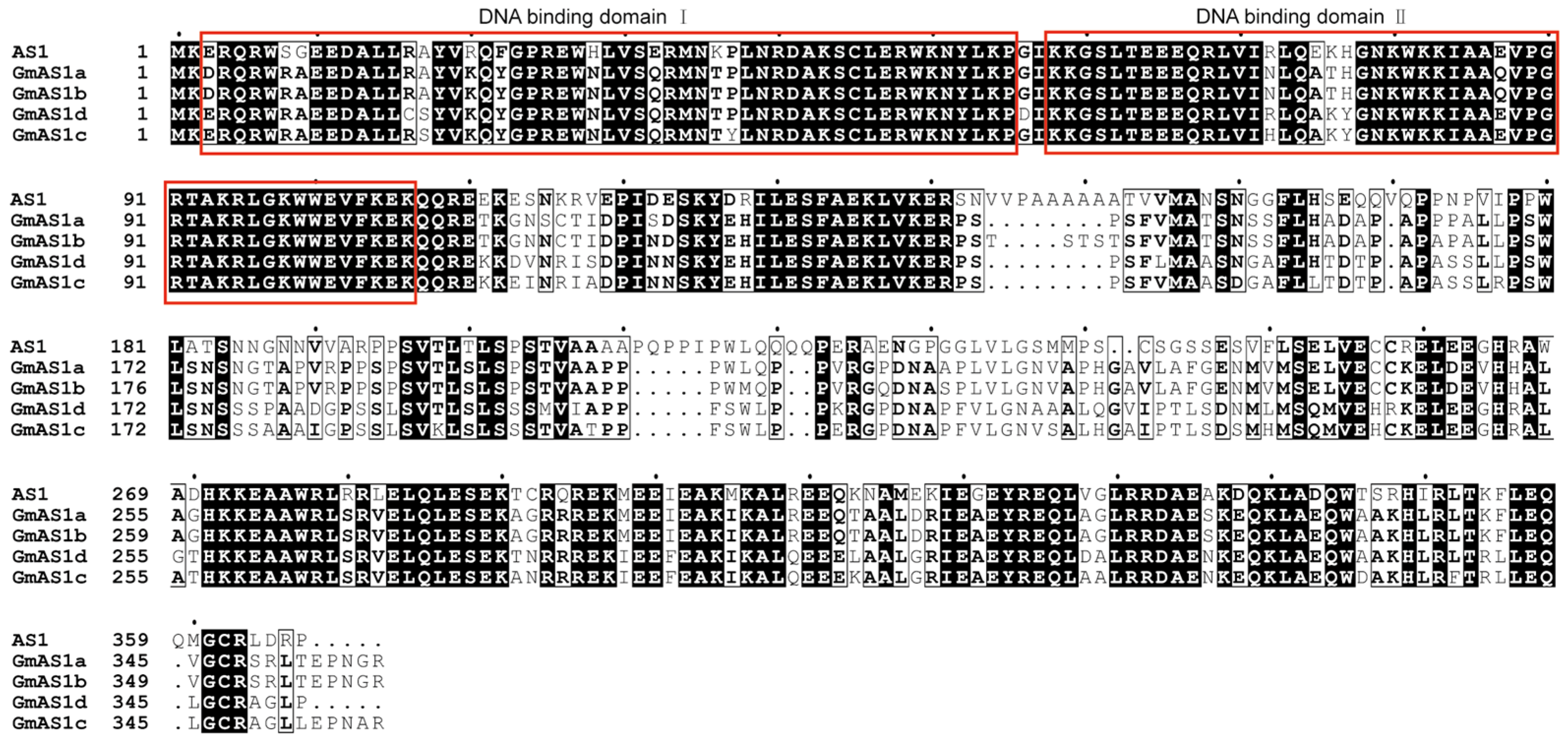 Ijms 26 11089 g003 Ijms 26 11089 g003