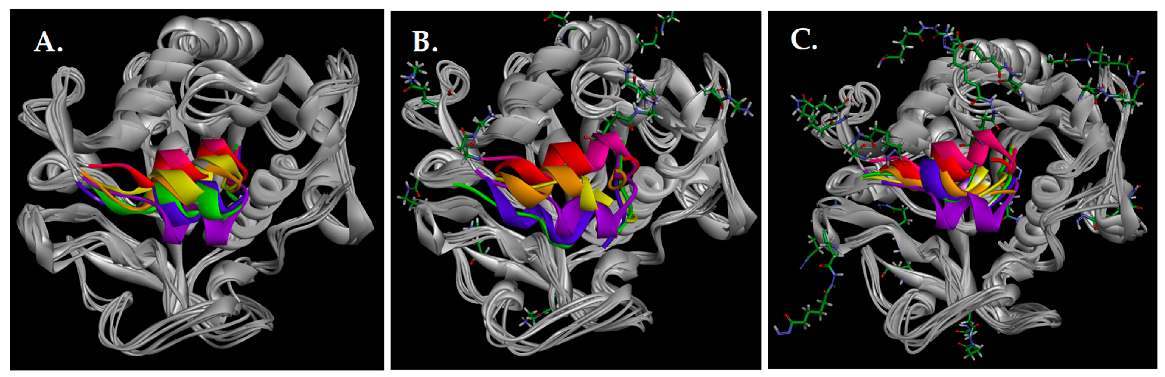 Ijms 26 11094 g002 Ijms 26 11094 g002