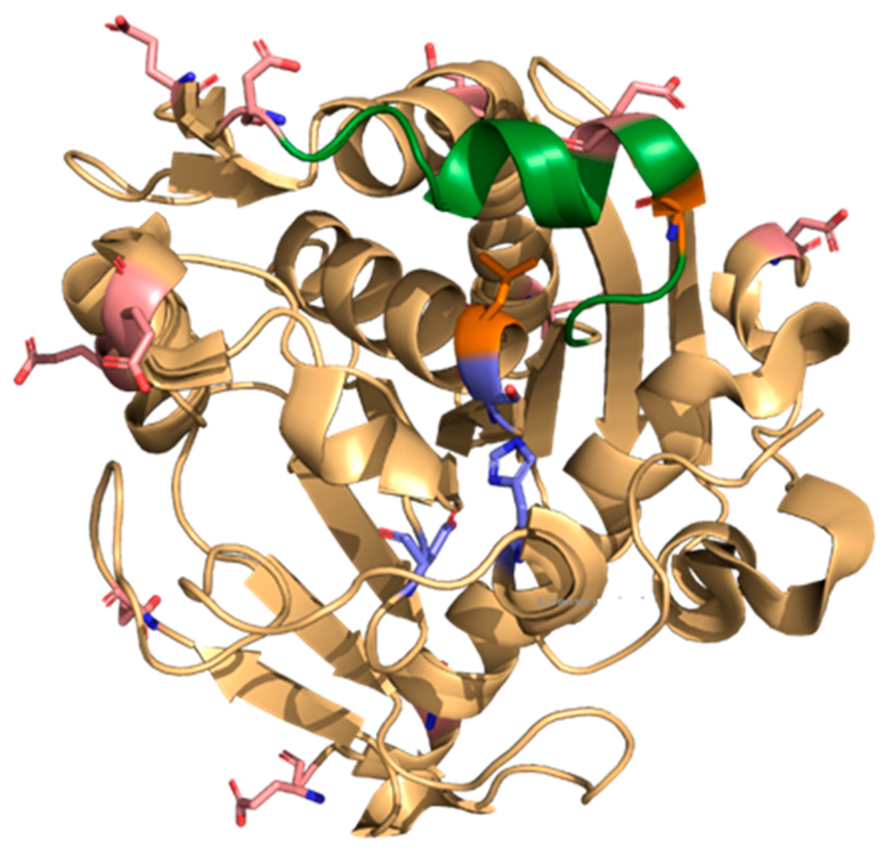 Ijms 26 11094 g004 Ijms 26 11094 g004