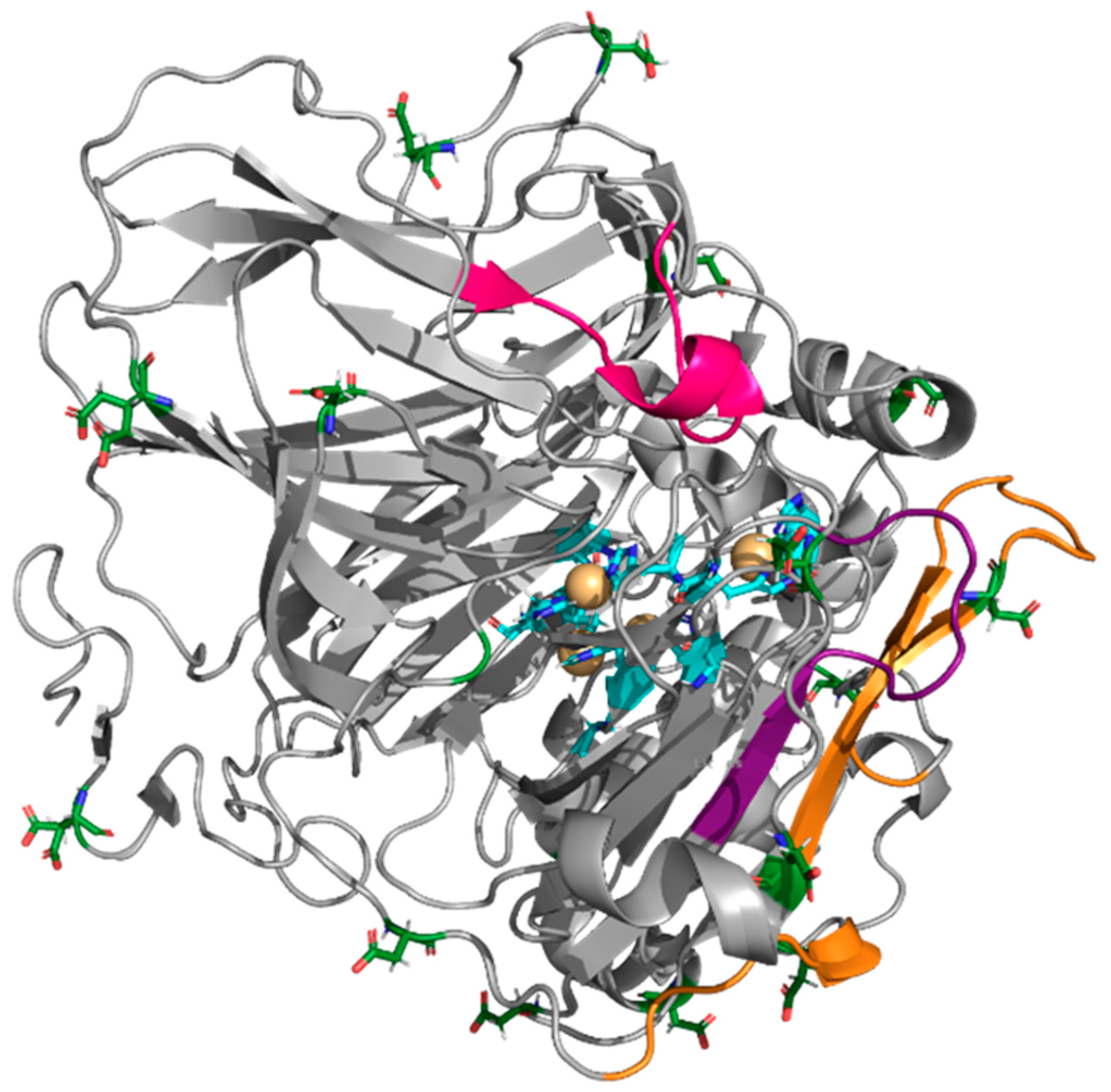 Ijms 26 11094 g006 Ijms 26 11094 g006