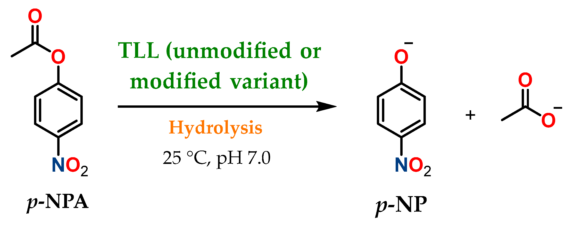 Ijms 26 11094 sch002 Ijms 26 11094 sch002
