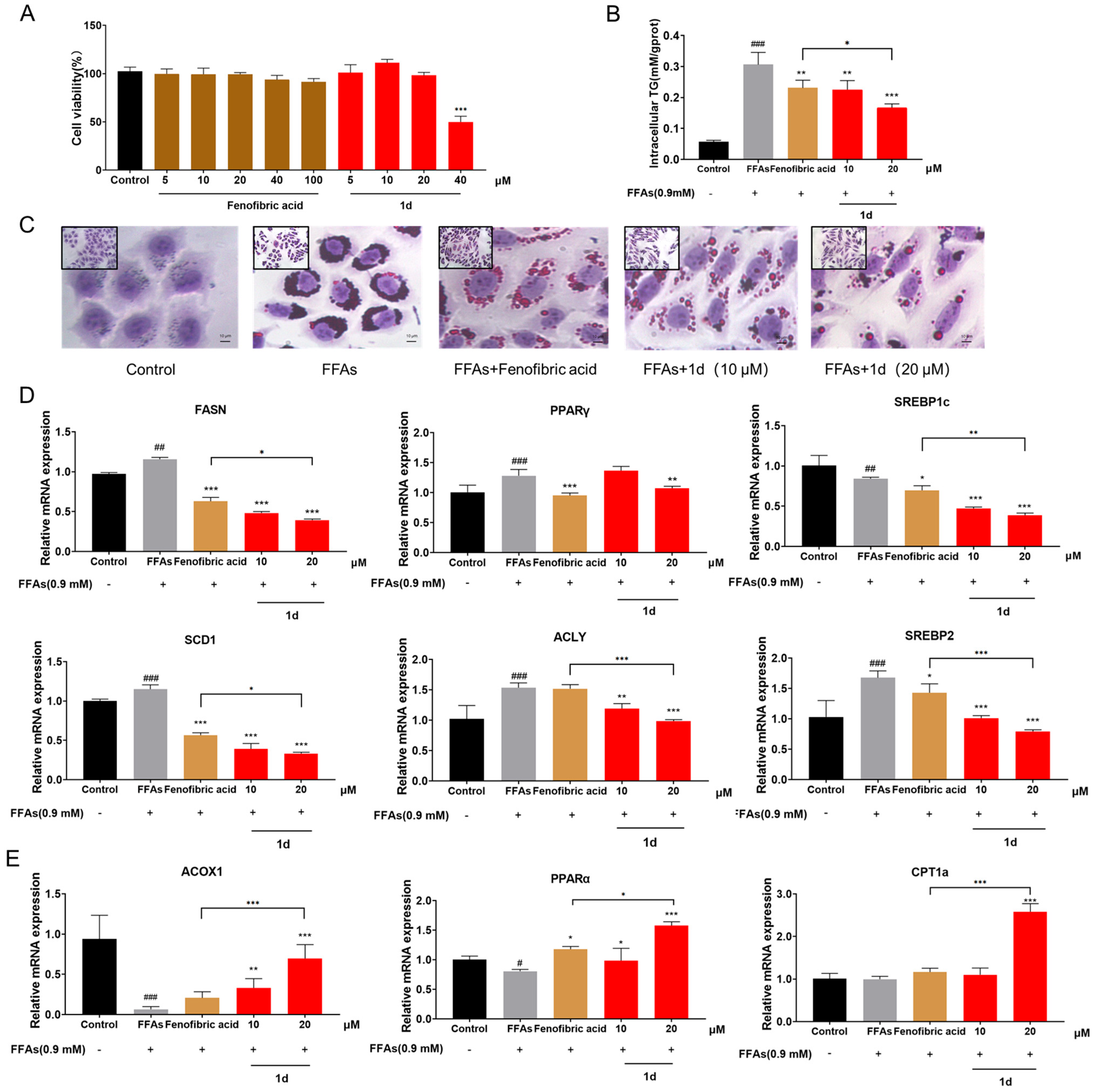 Ijms 26 11099 g002 Ijms 26 11099 g002