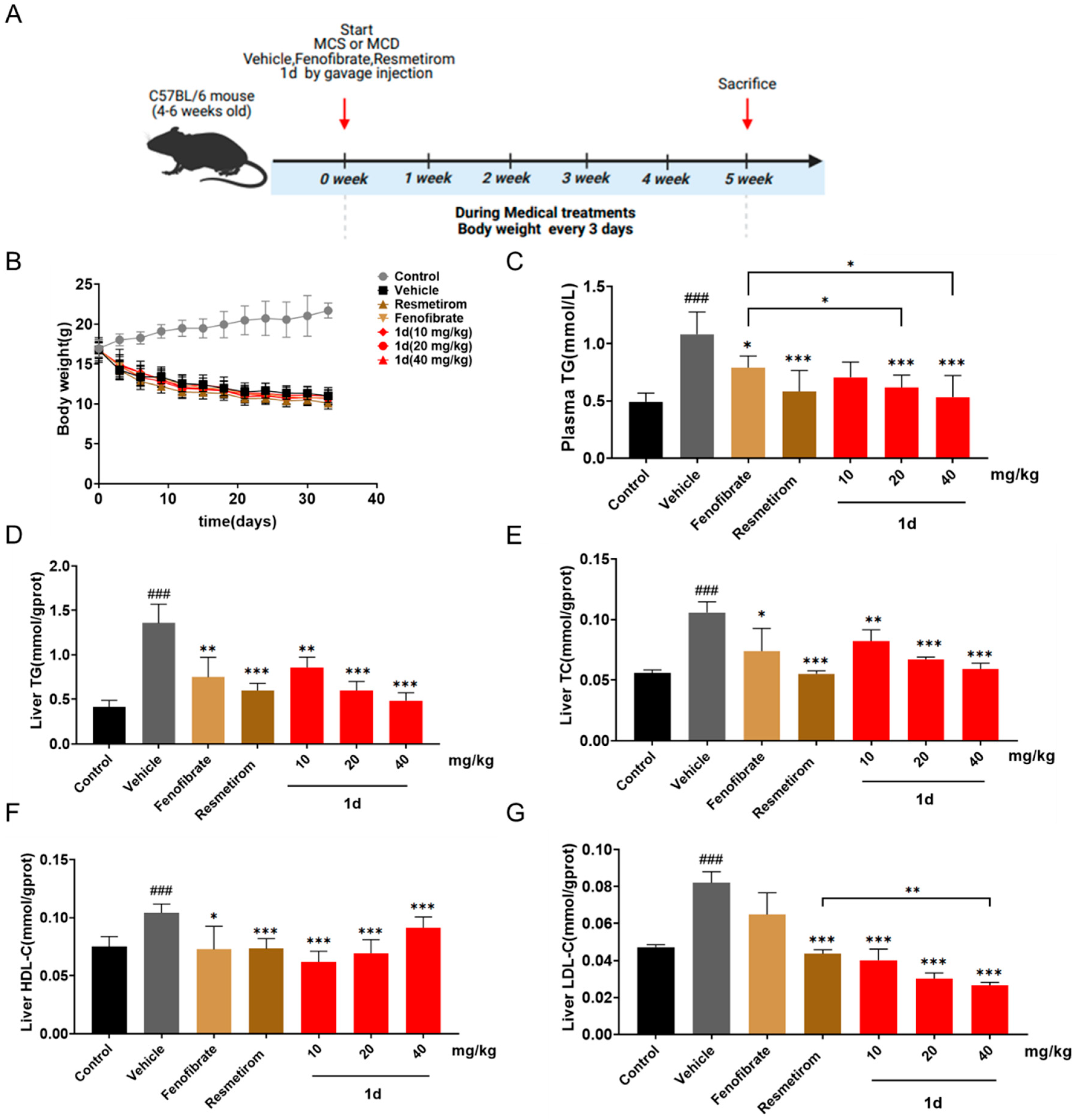 Ijms 26 11099 g005 Ijms 26 11099 g005