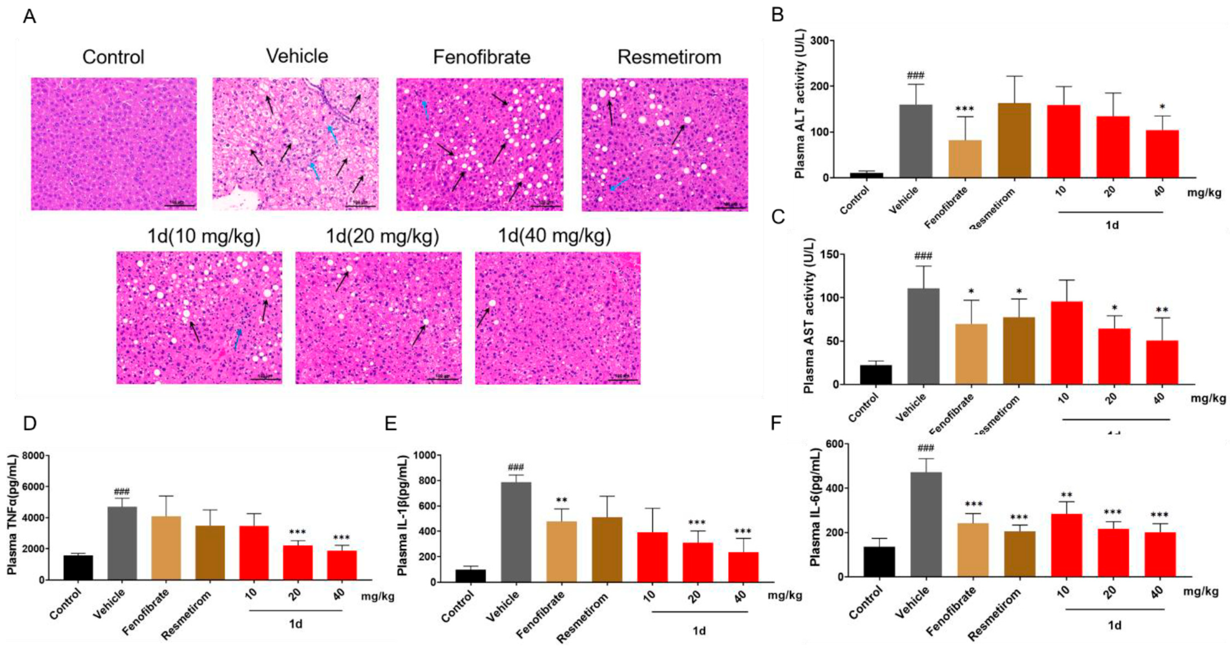 Ijms 26 11099 g006 Ijms 26 11099 g006