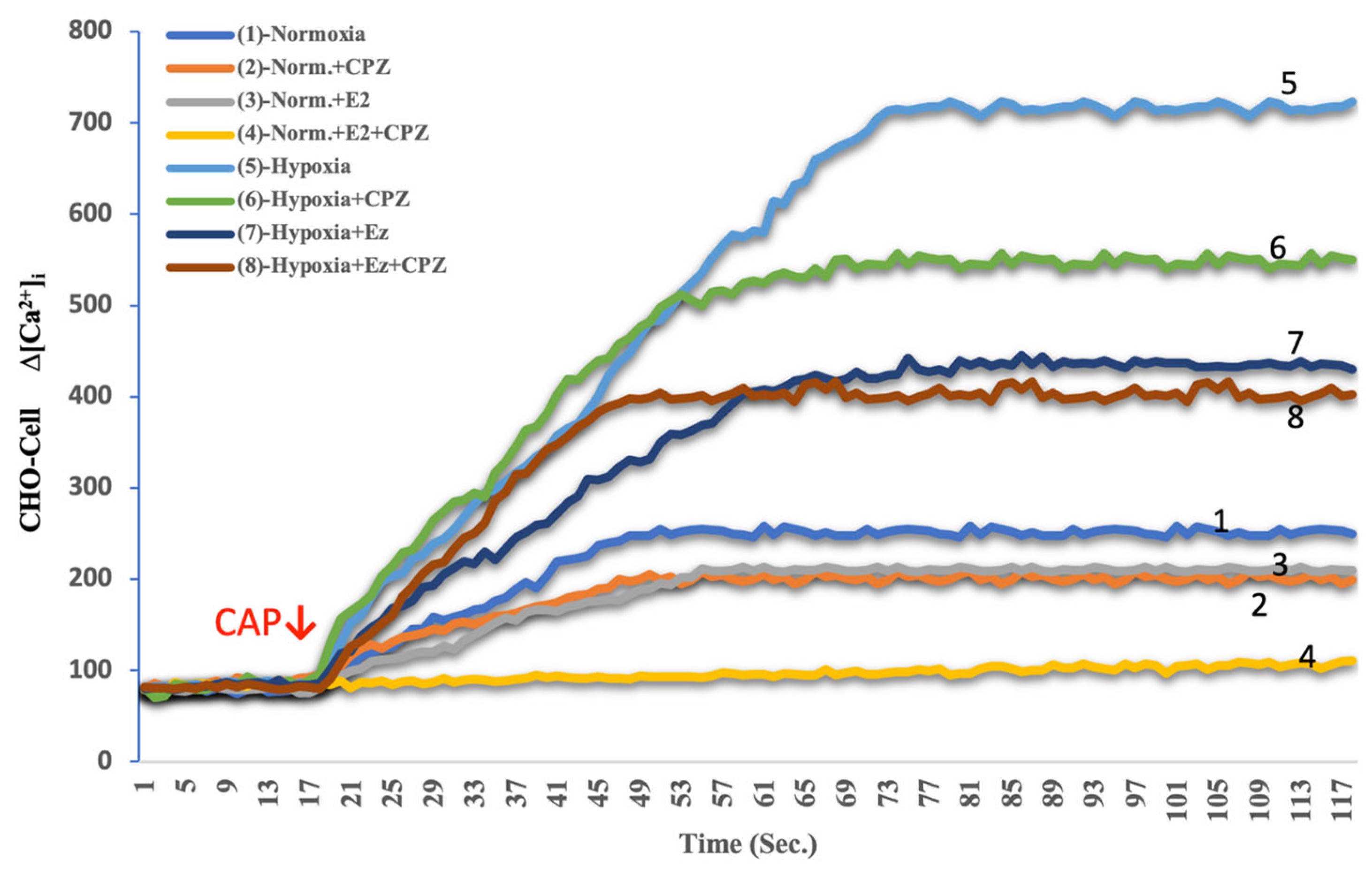 Ijms 26 11110 g003 Ijms 26 11110 g003