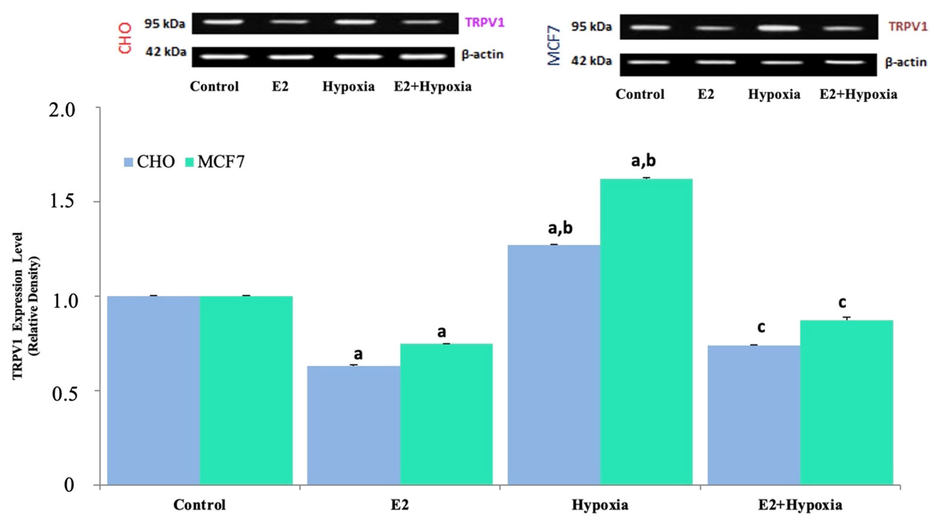 Ijms 26 11110 g005 Ijms 26 11110 g005
