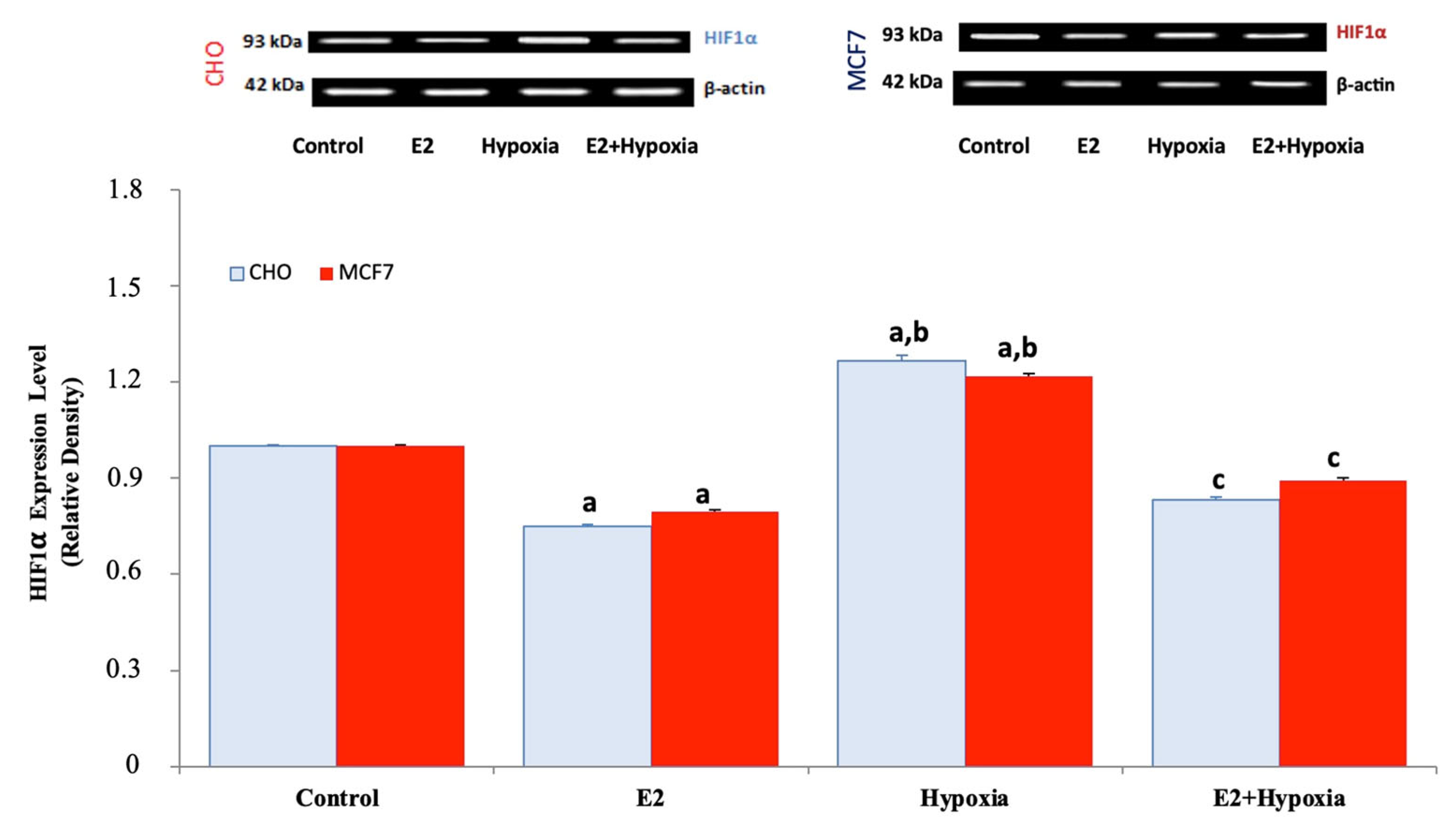 Ijms 26 11110 g006 Ijms 26 11110 g006