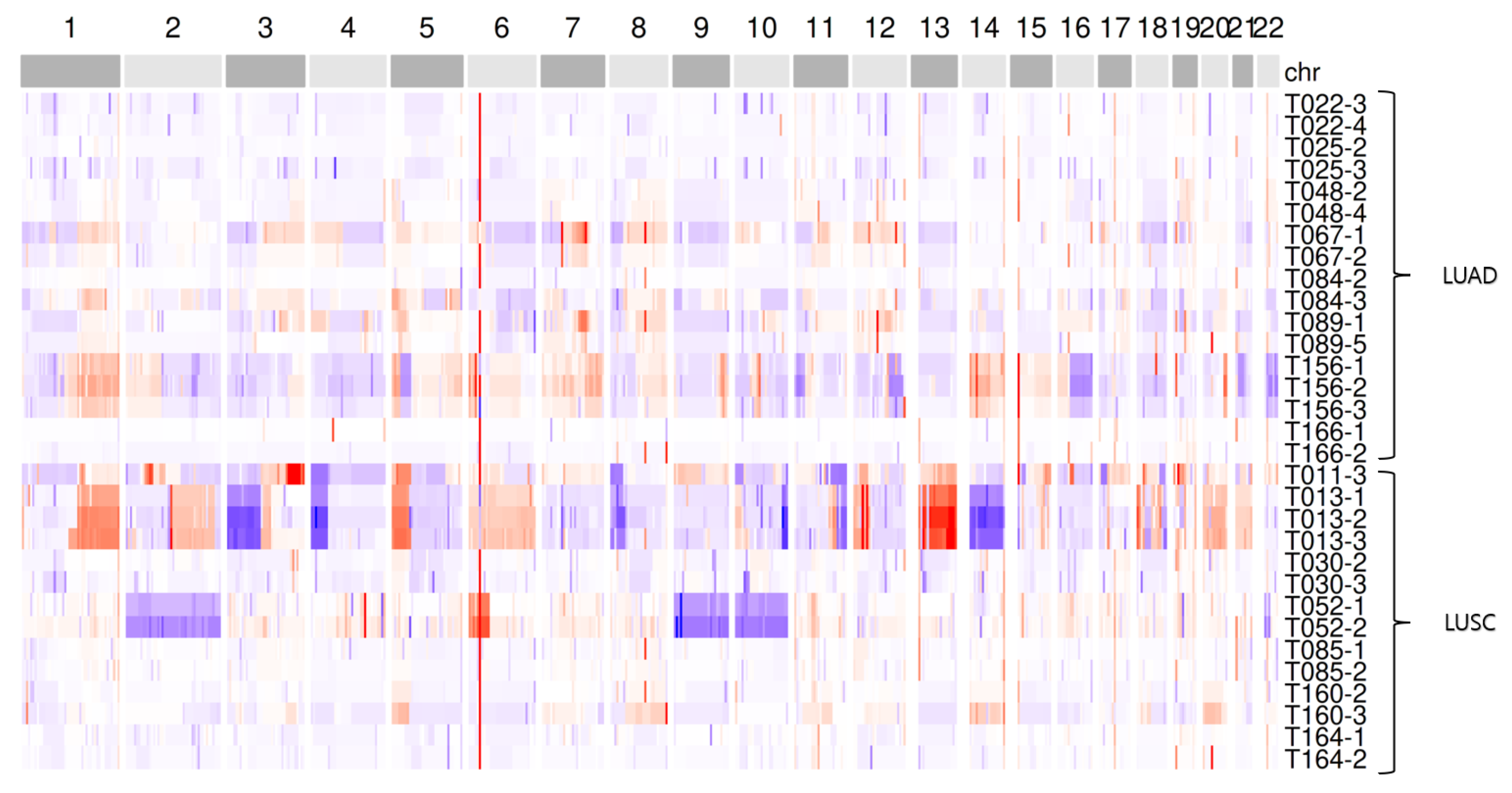 Ijms 26 11111 g004 Ijms 26 11111 g004