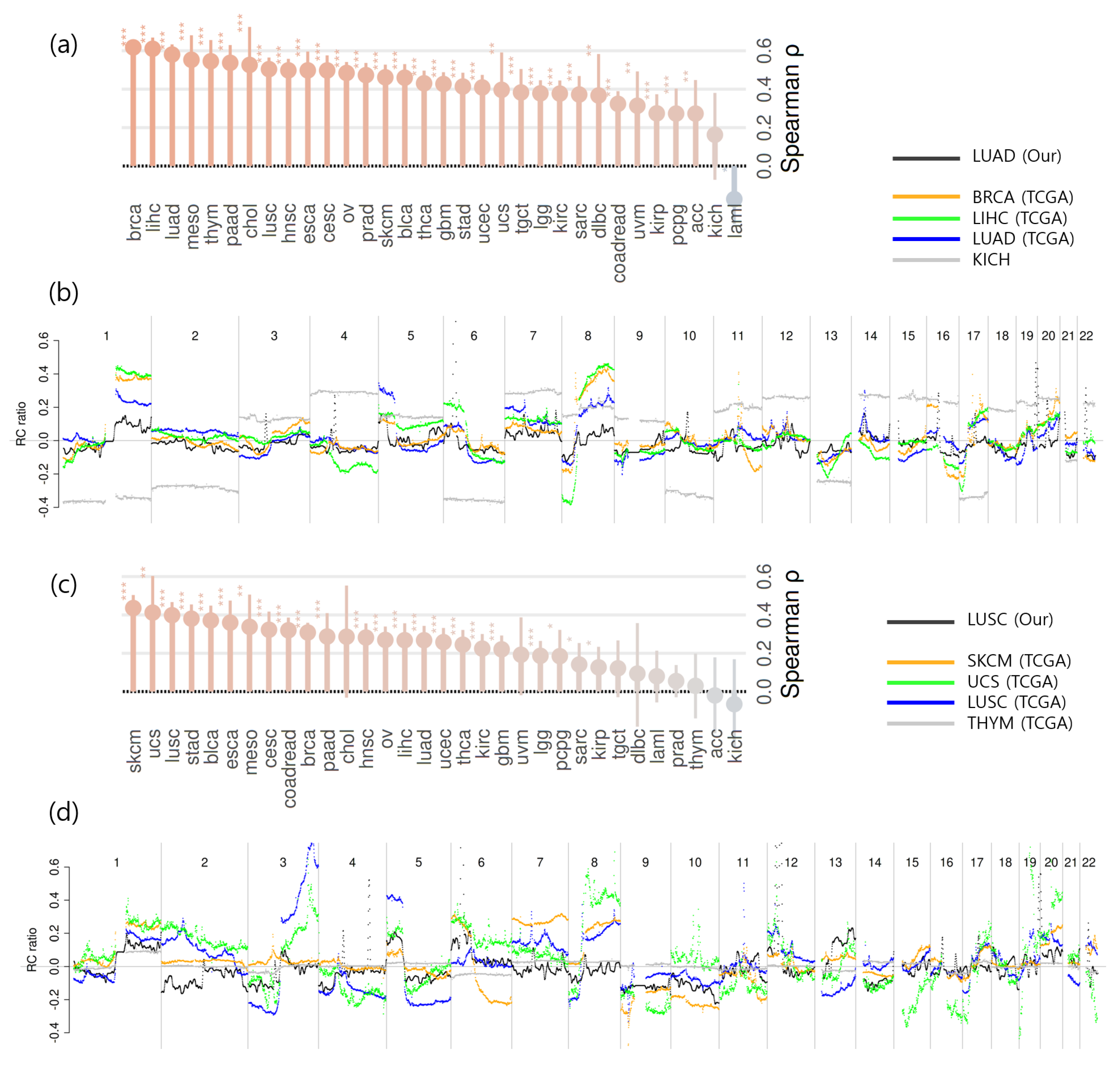 Ijms 26 11111 g005 Ijms 26 11111 g005