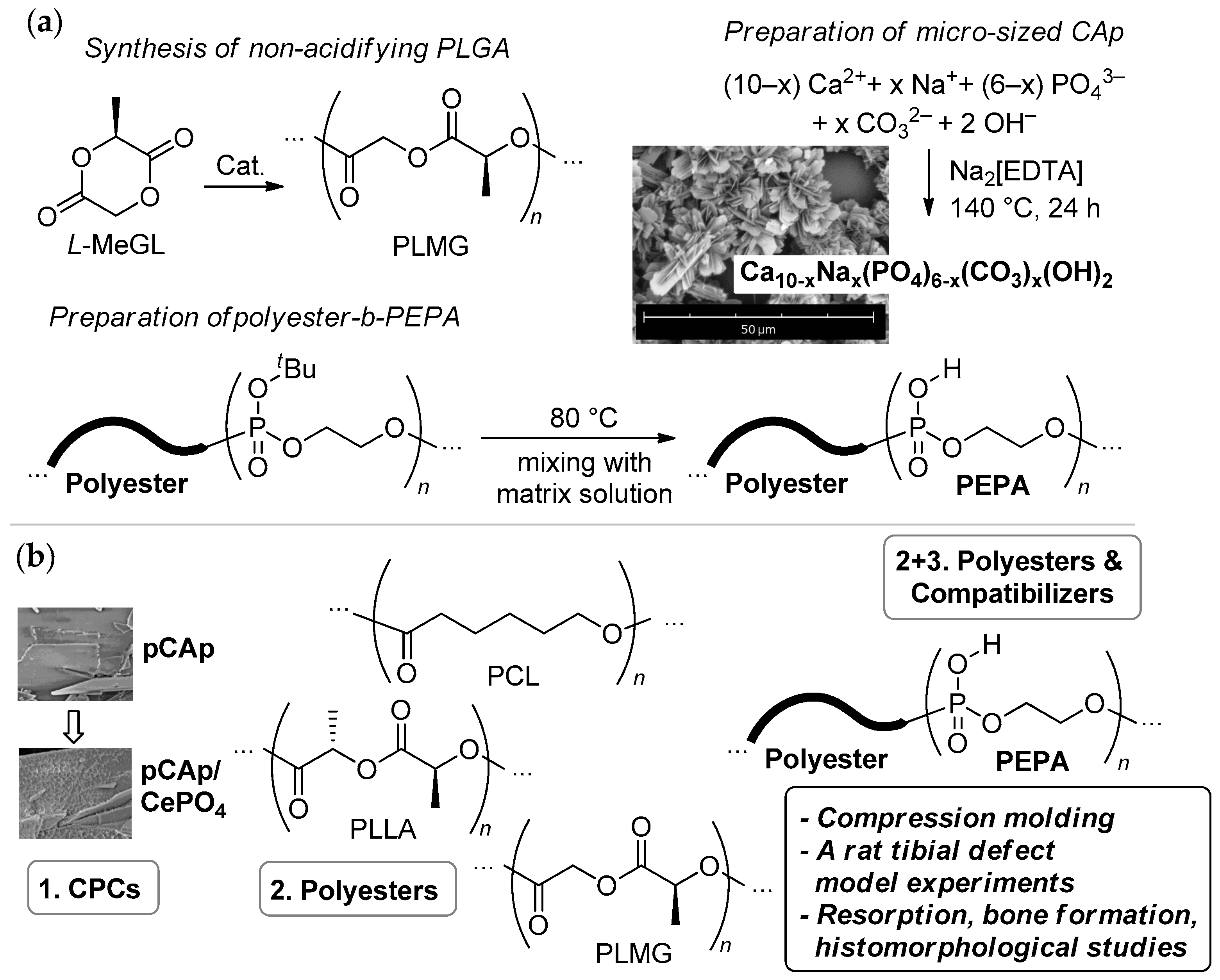 Ijms 26 11113 sch001