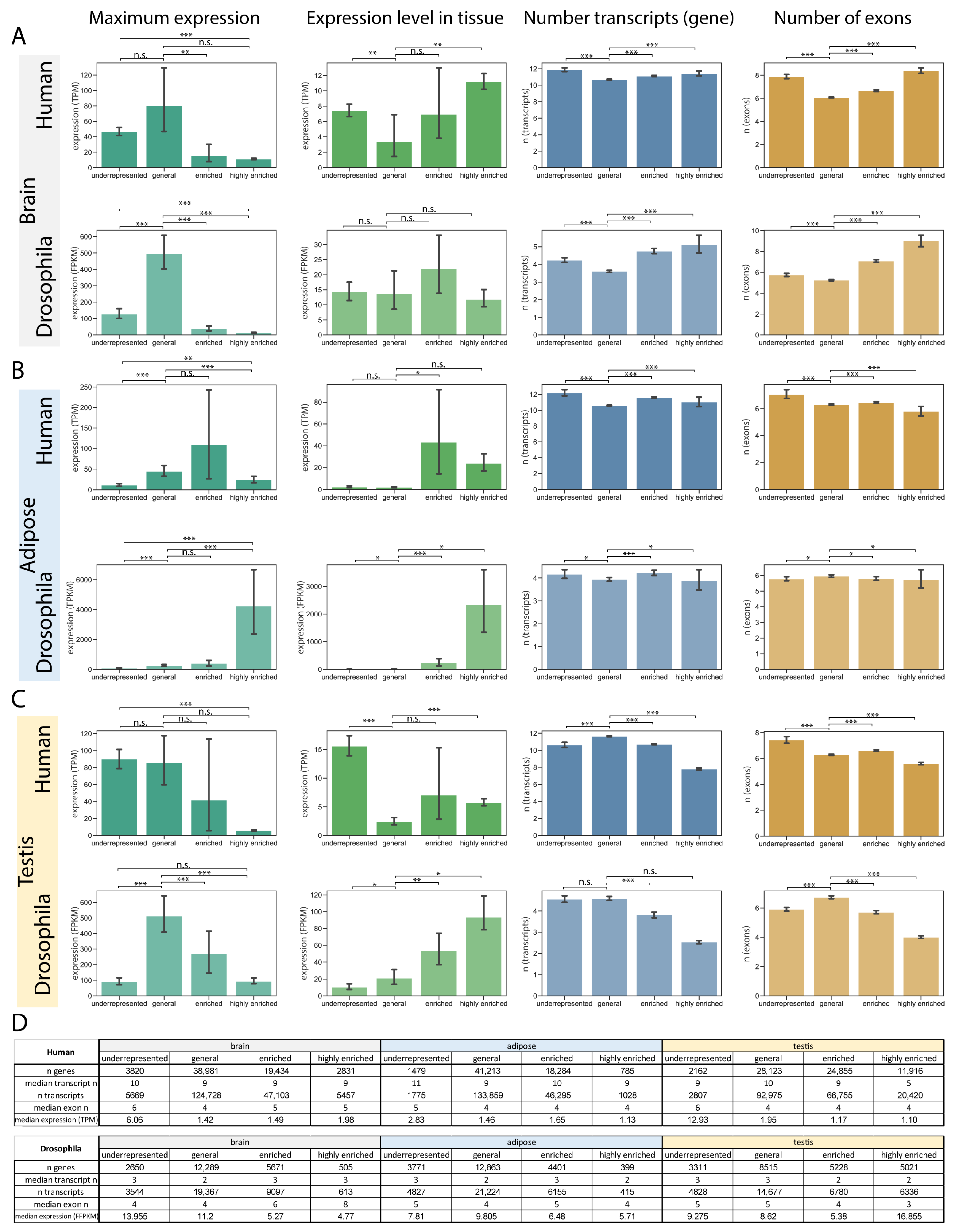 Ijms 26 11114 g002 Ijms 26 11114 g002