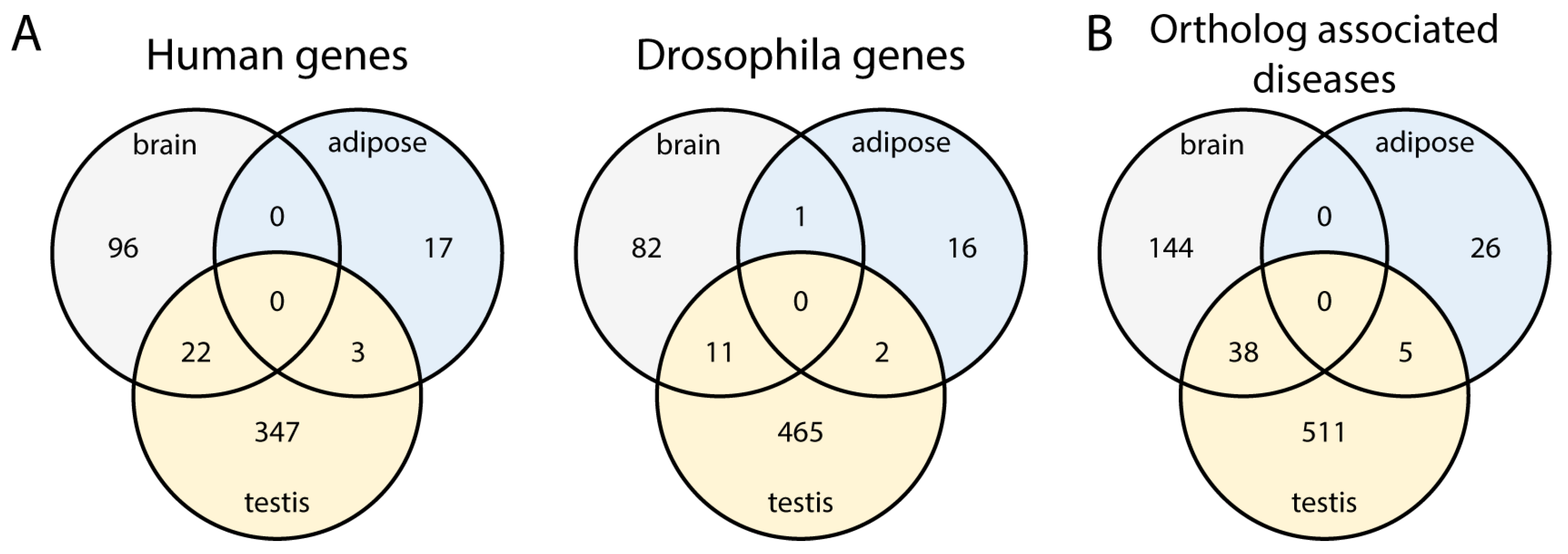 Ijms 26 11114 g003 Ijms 26 11114 g003