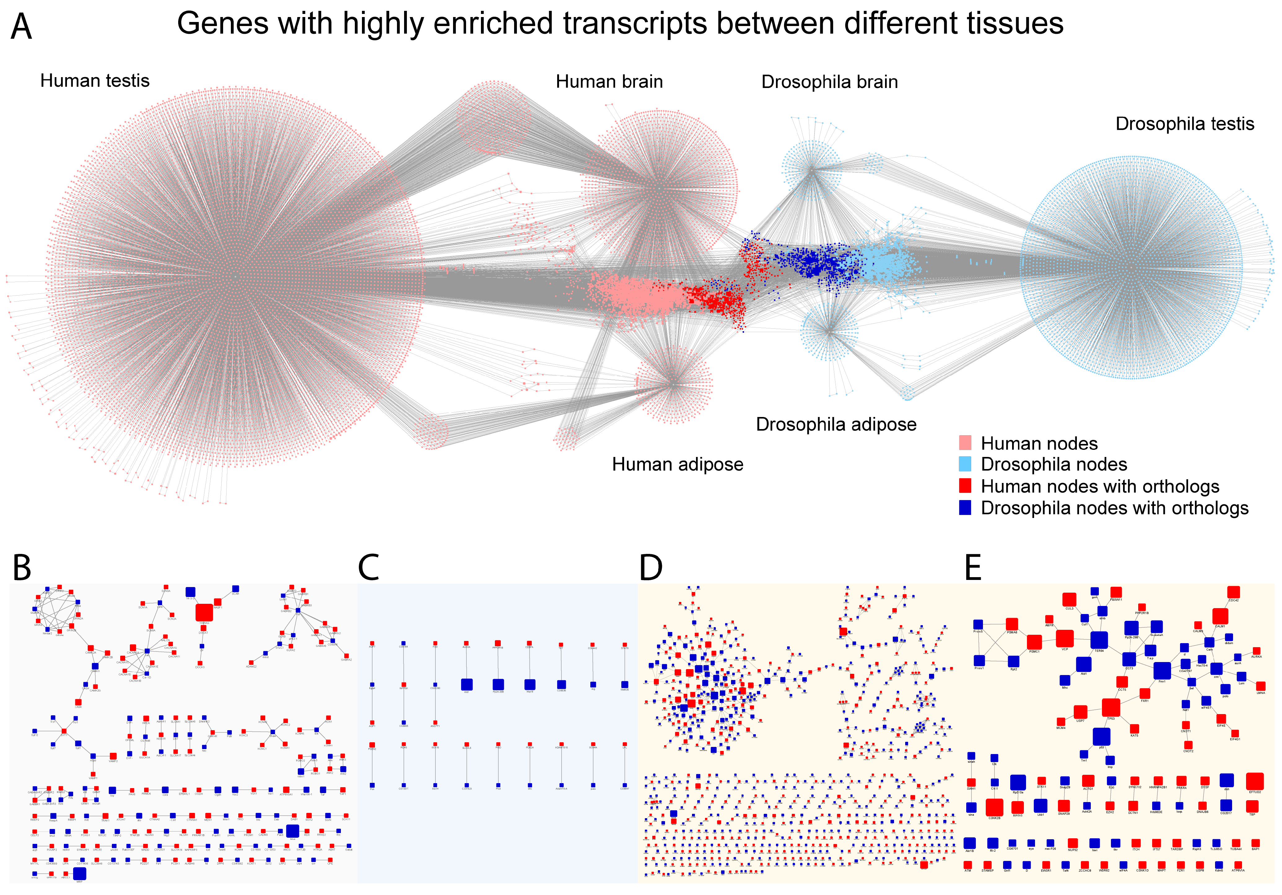 Ijms 26 11114 g004 Ijms 26 11114 g004