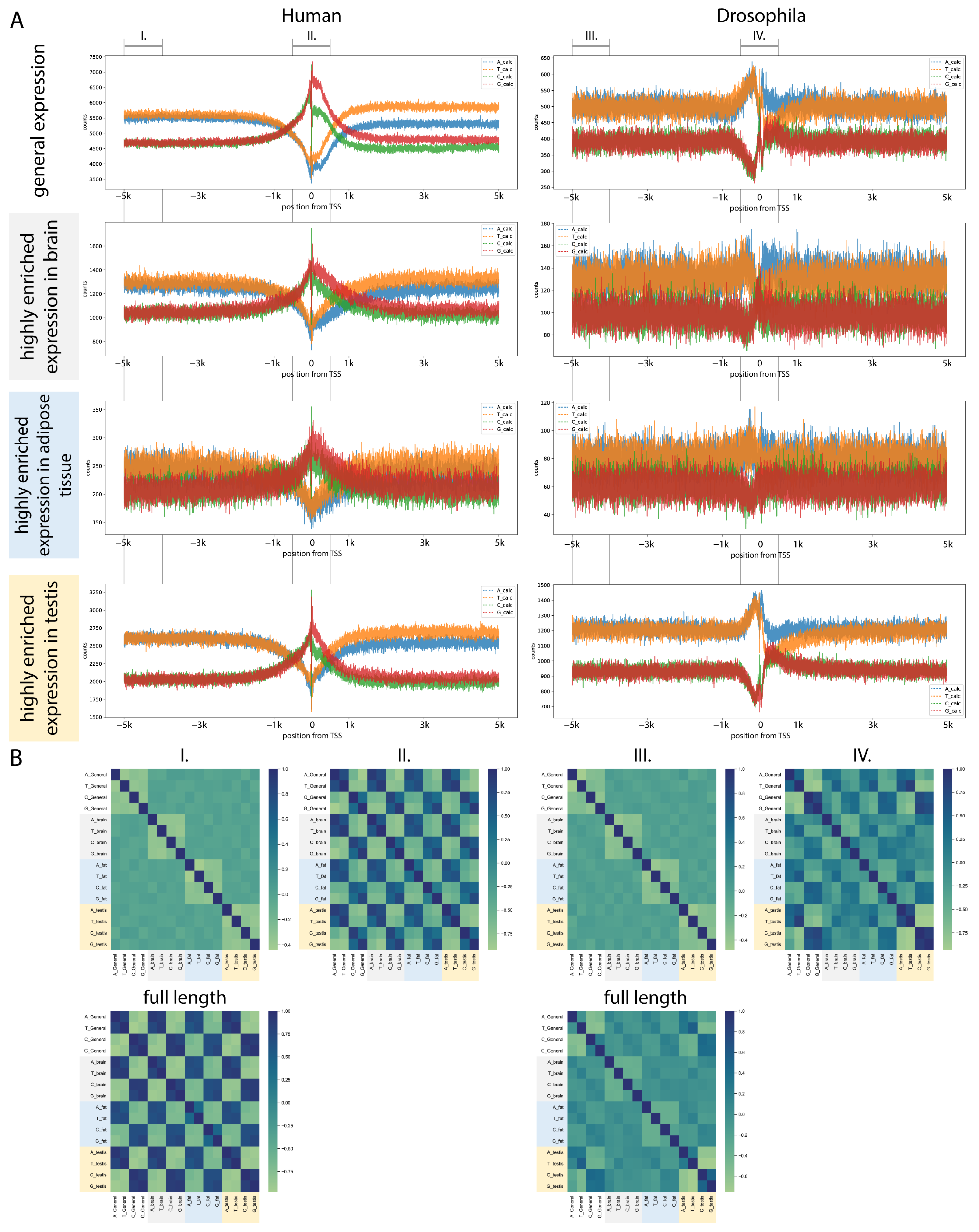 Ijms 26 11114 g005 Ijms 26 11114 g005
