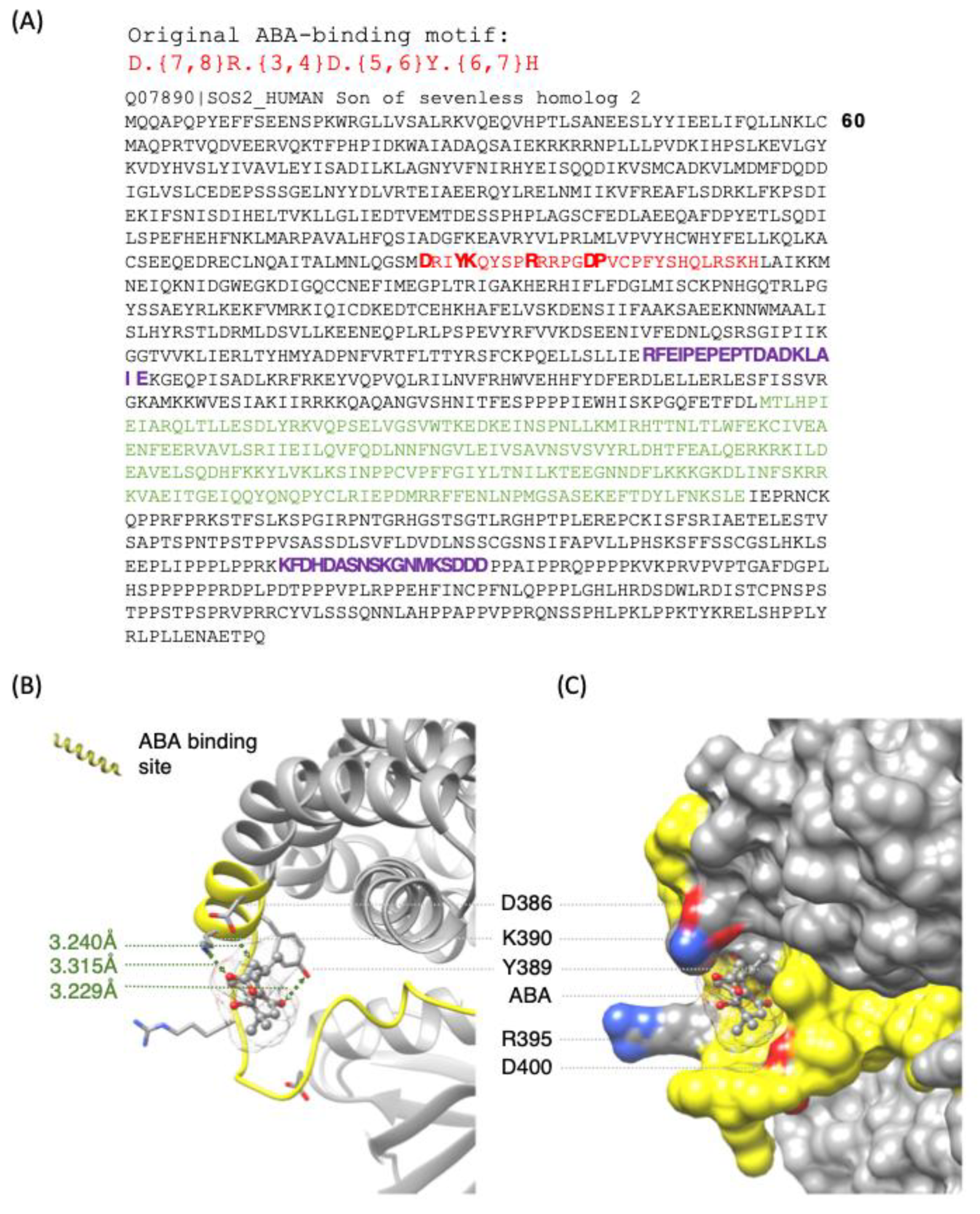 Ijms 26 11115 g002 Ijms 26 11115 g002