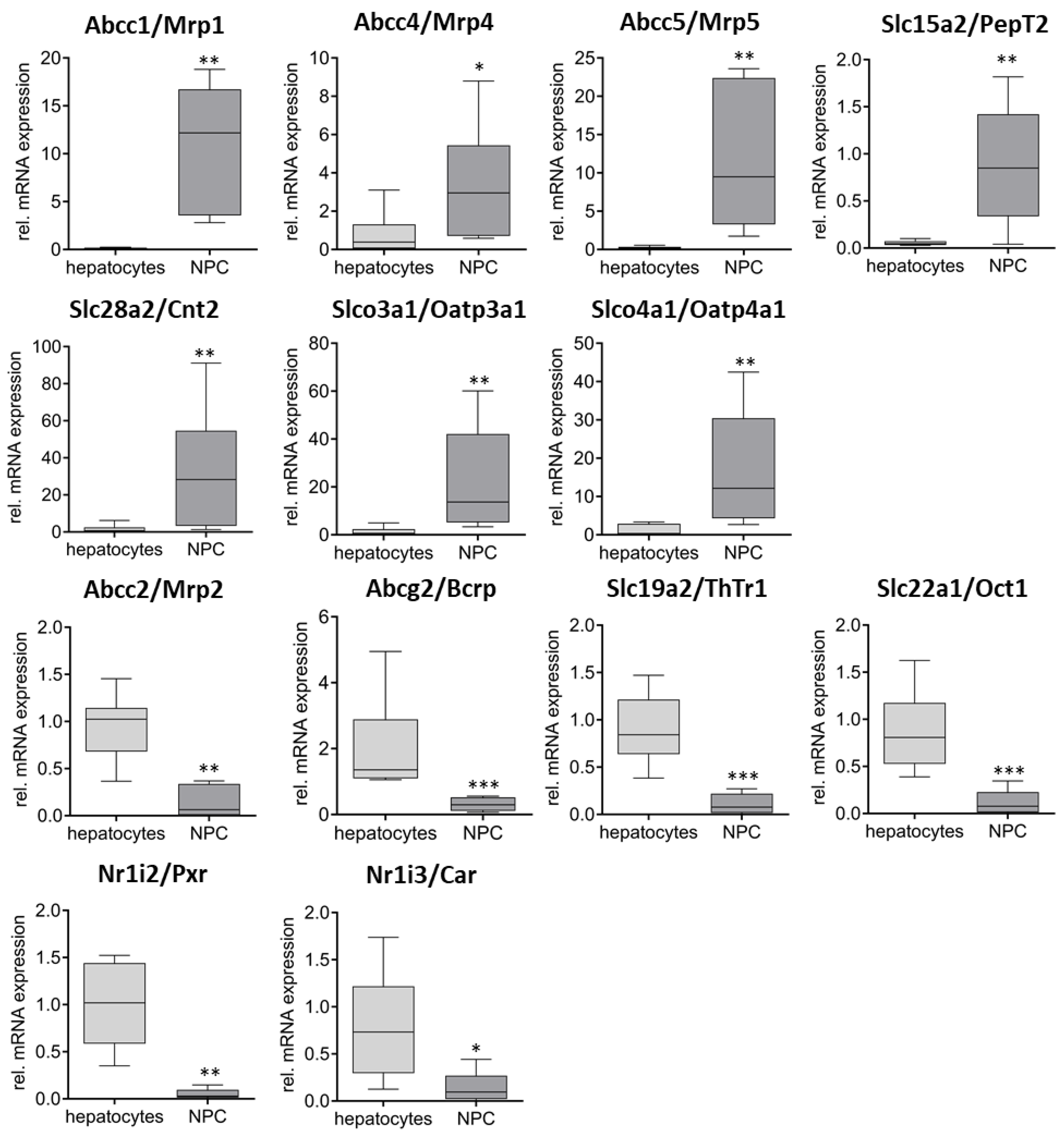 Ijms 26 11116 g003 Ijms 26 11116 g003