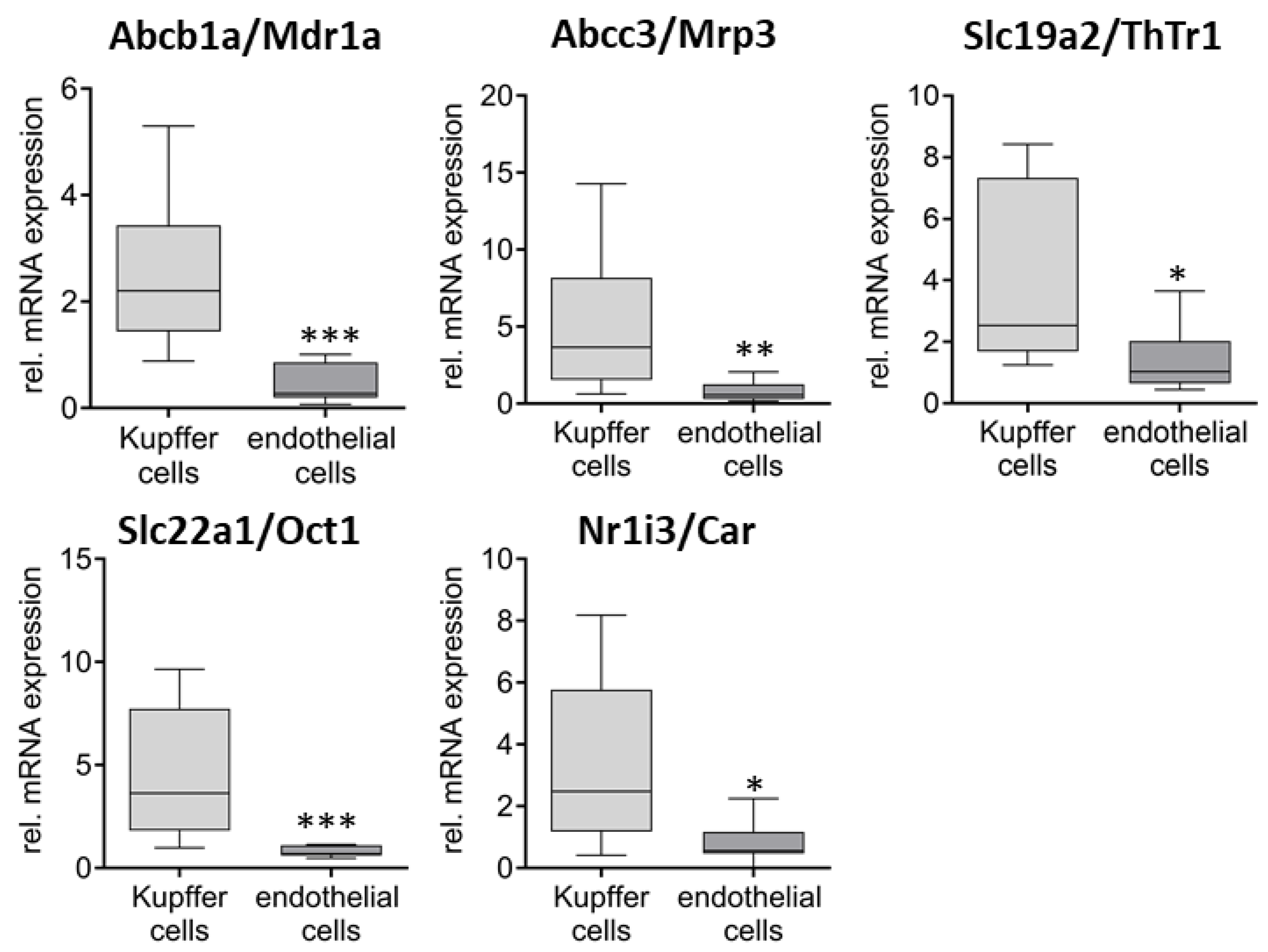 Ijms 26 11116 g004 Ijms 26 11116 g004