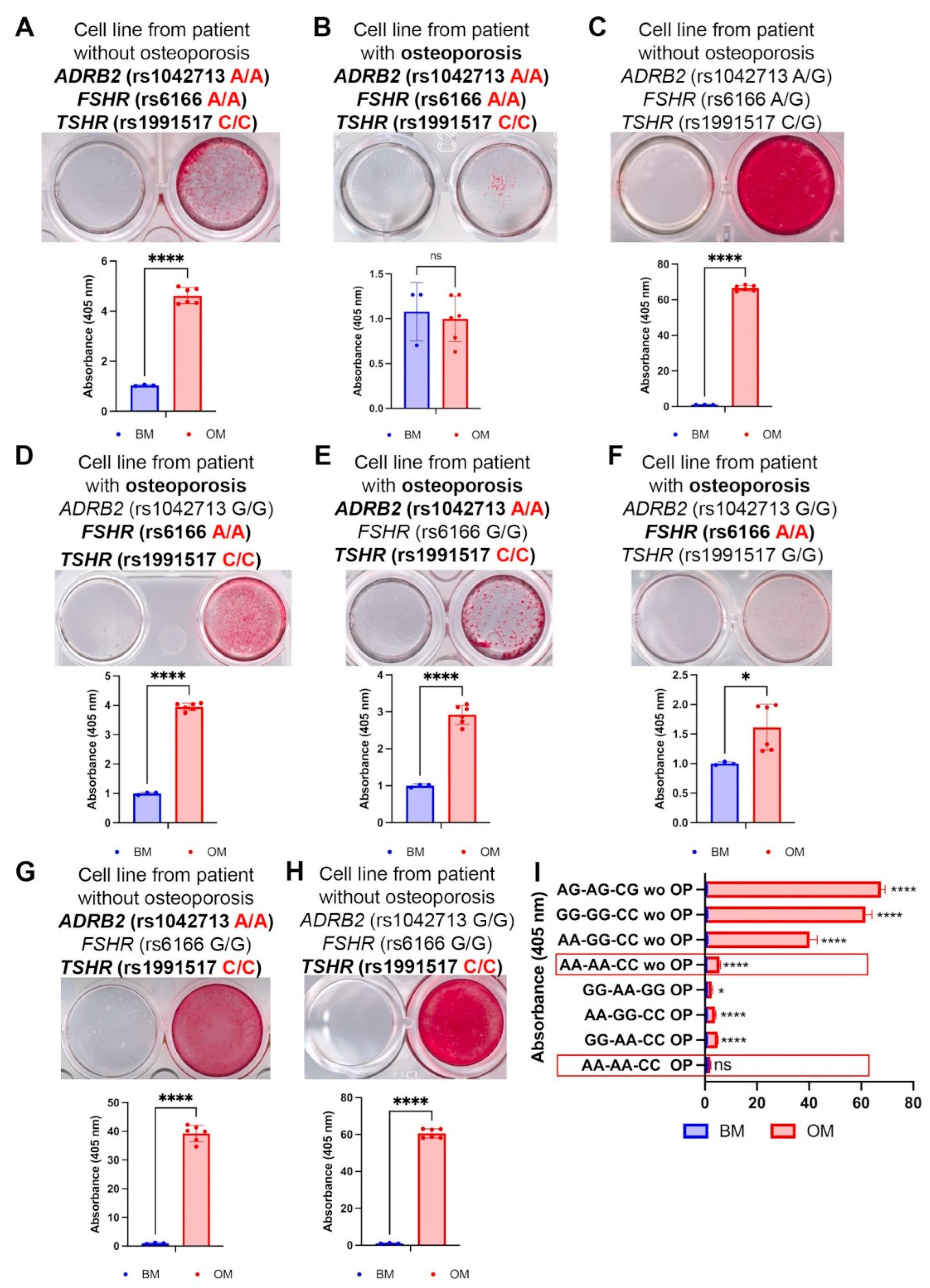 Ijms 26 11117 g002 Ijms 26 11117 g002