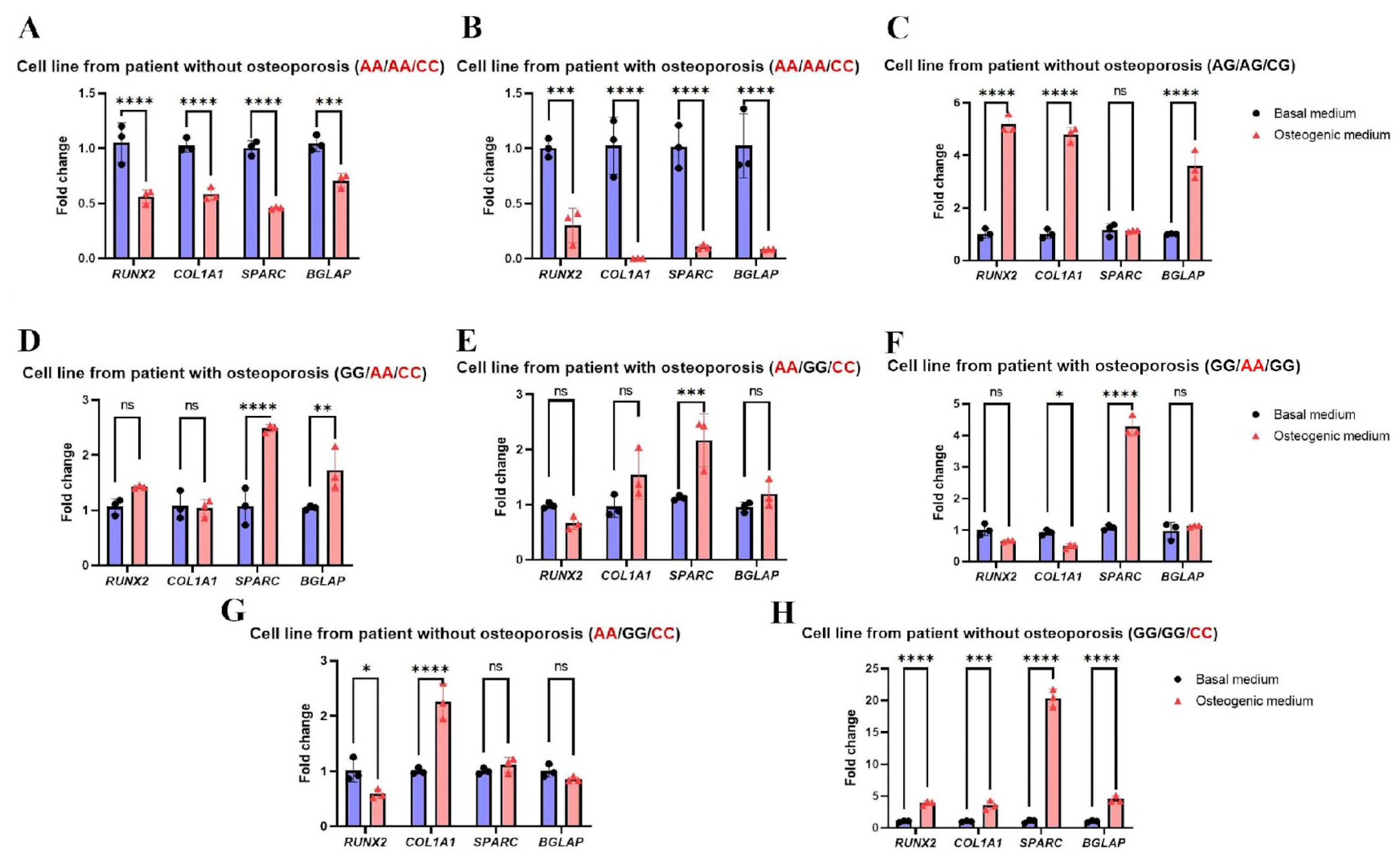 Ijms 26 11117 g003 Ijms 26 11117 g003