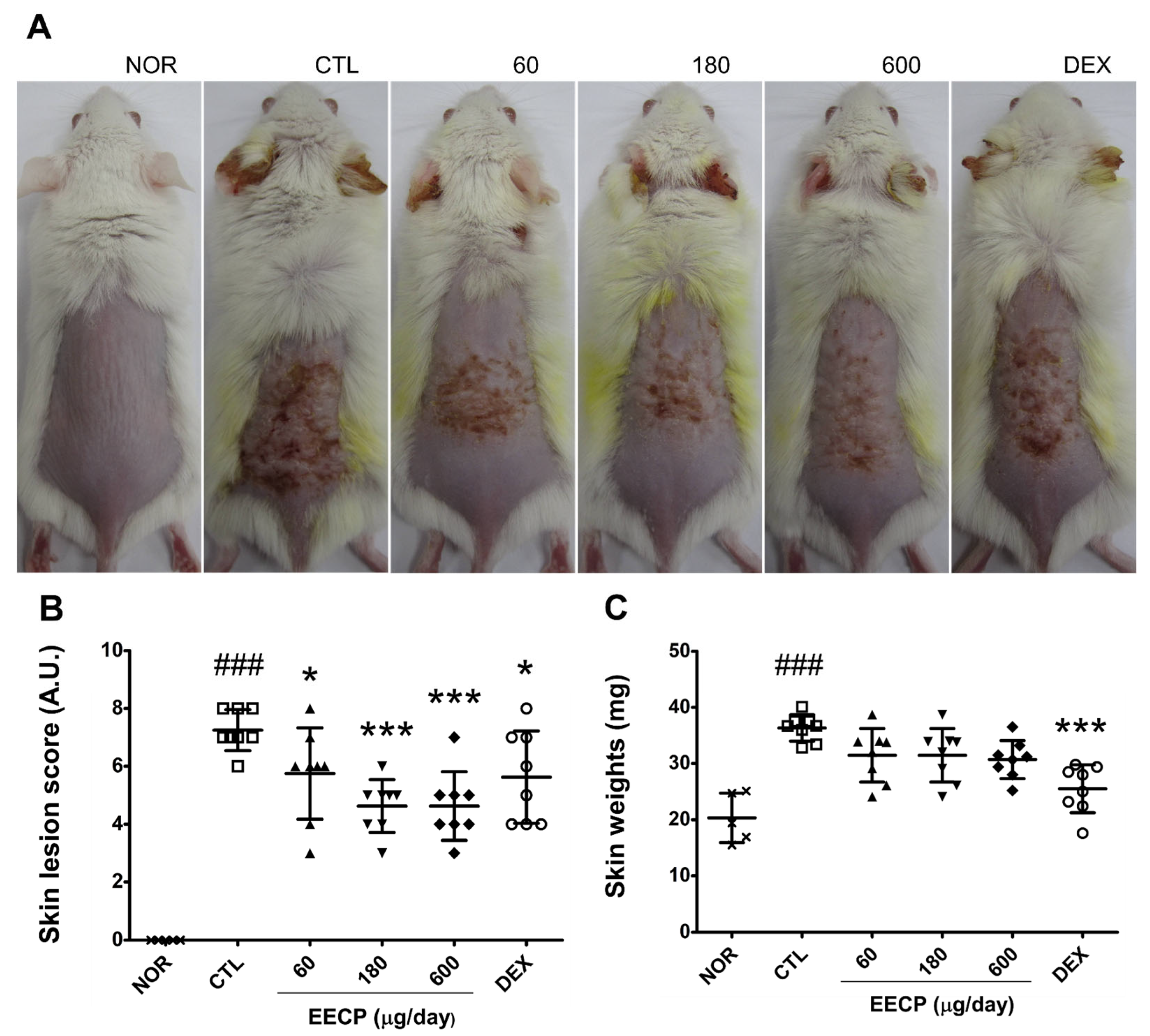 Ijms 26 11122 g001 Ijms 26 11122 g001