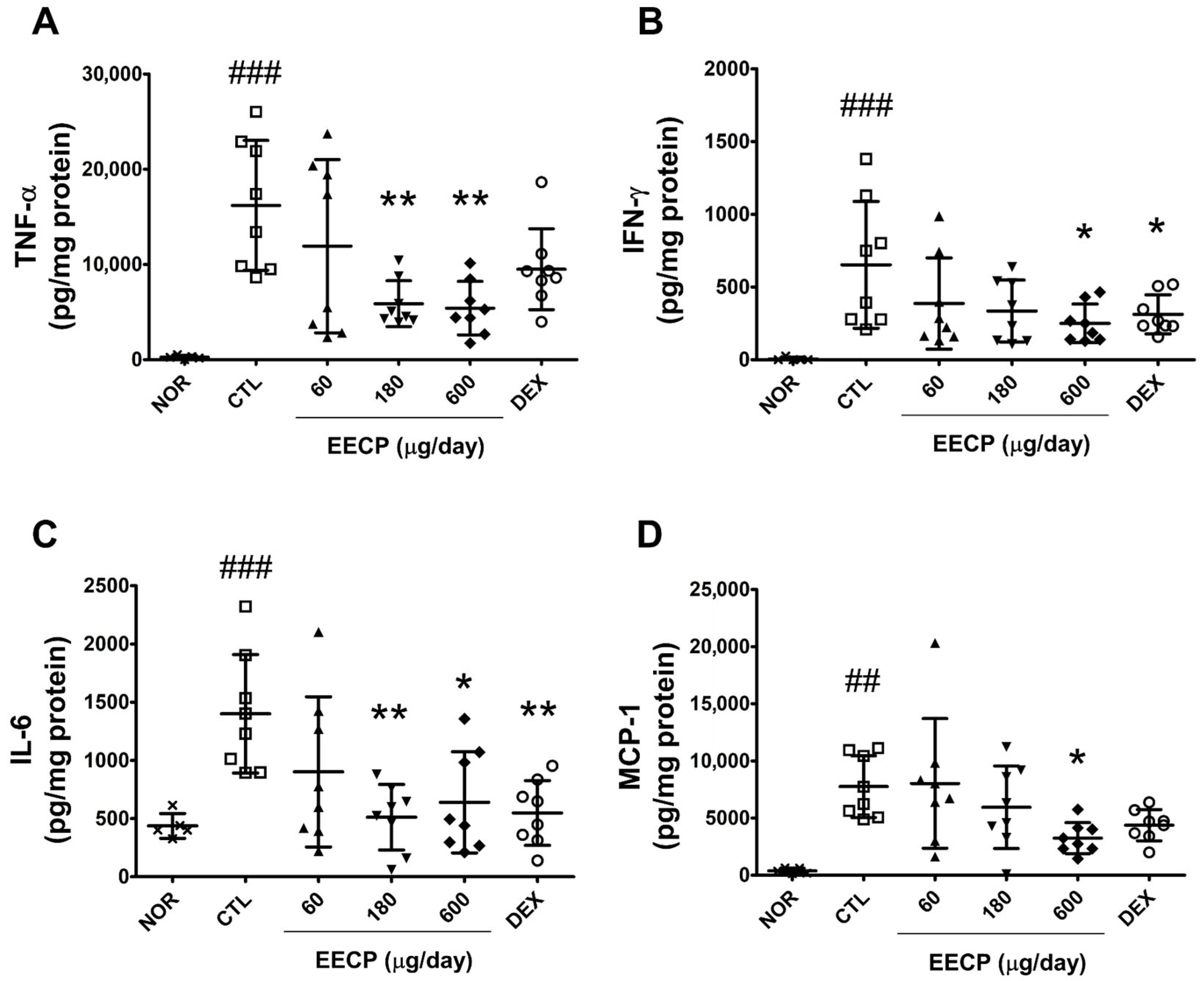 Ijms 26 11122 g005 Ijms 26 11122 g005