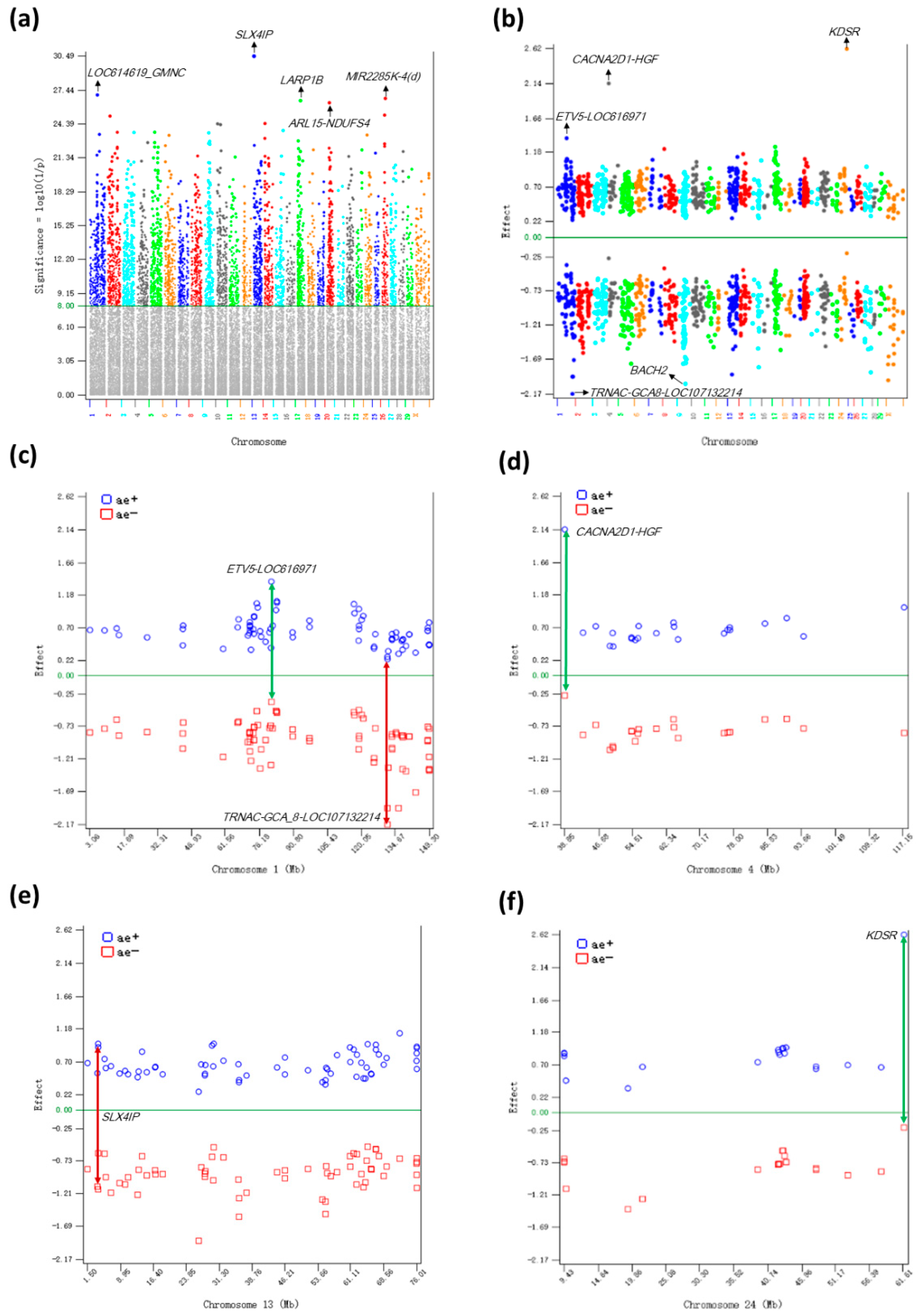 Ijms 26 11149 g001 Ijms 26 11149 g001