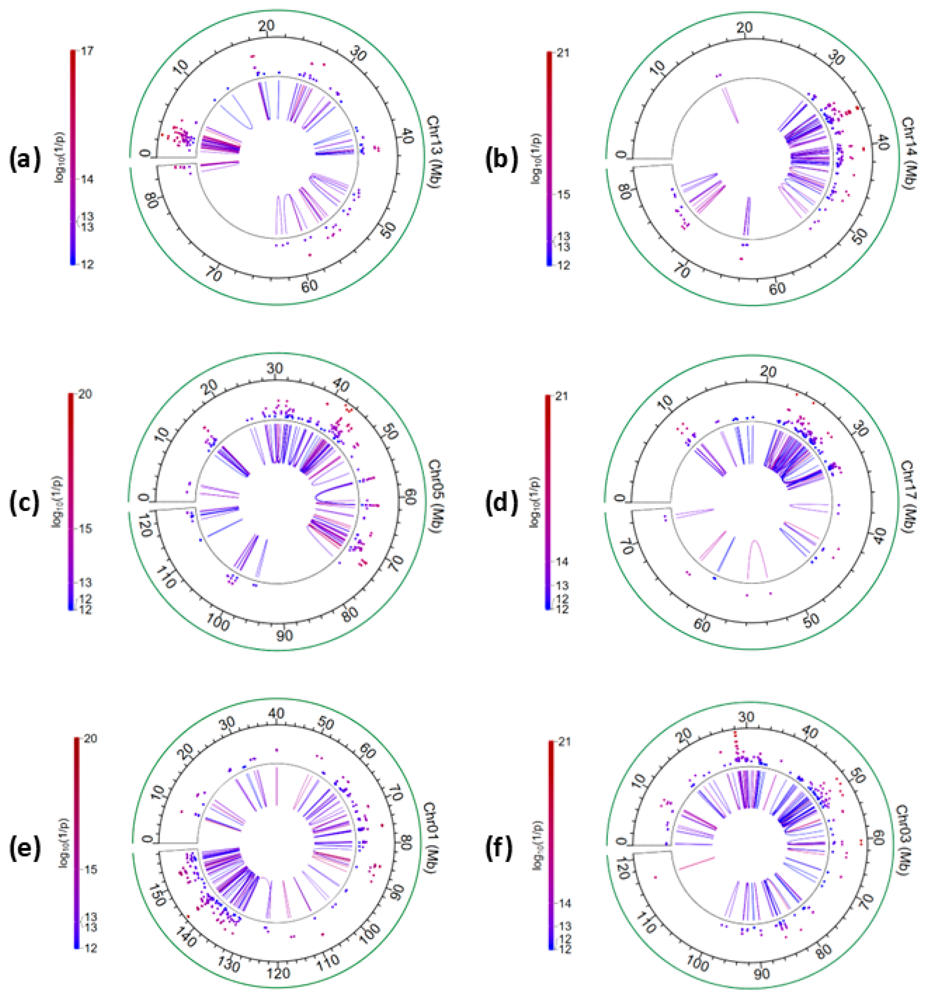 Ijms 26 11149 g004 Ijms 26 11149 g004