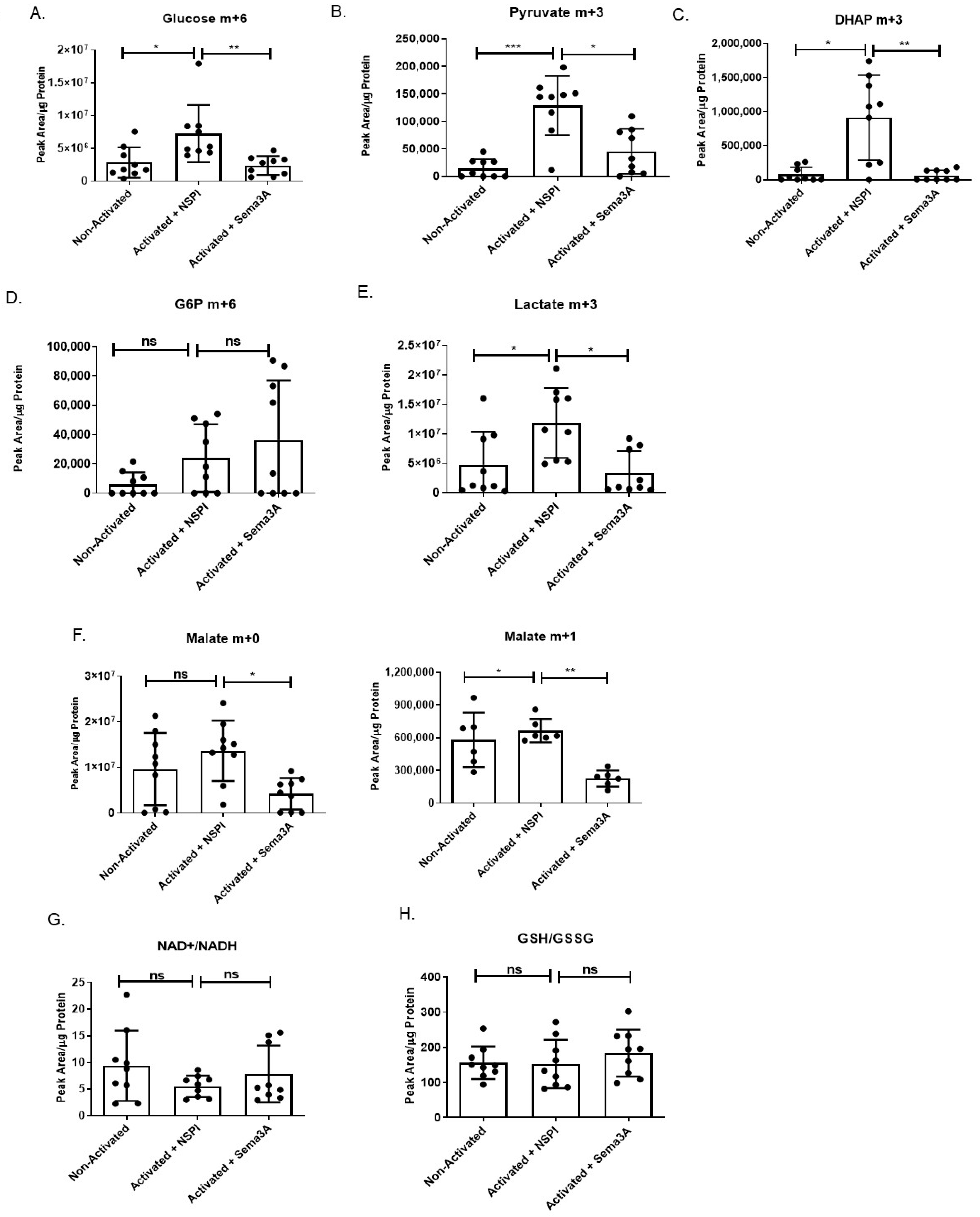 Ijms 26 11160 g003 Ijms 26 11160 g003