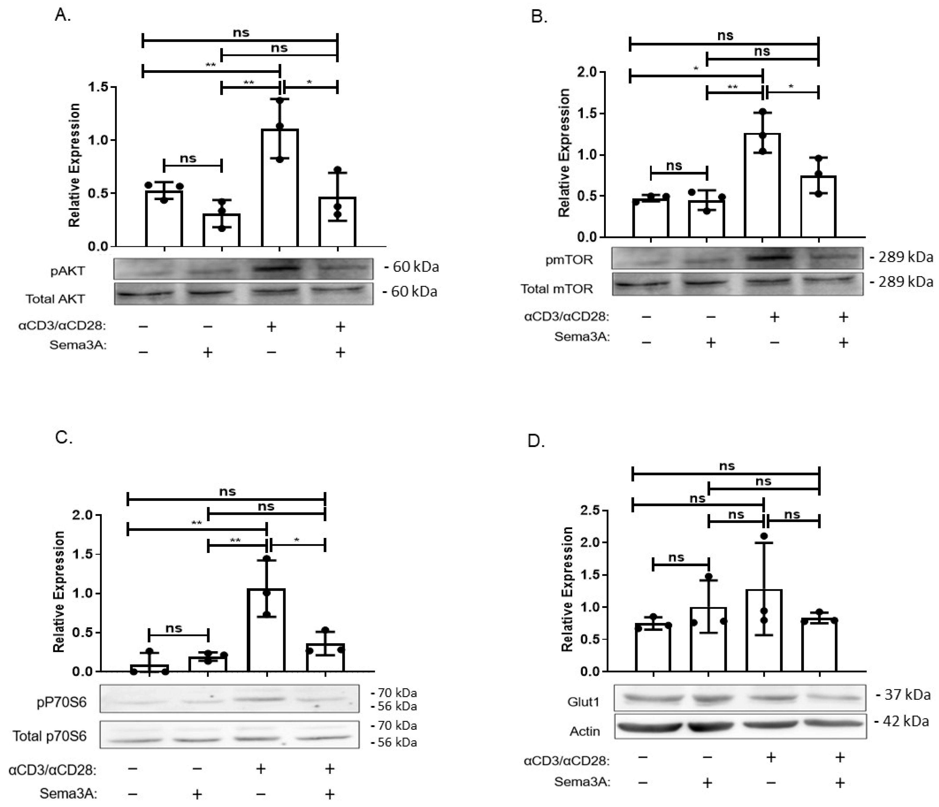 Ijms 26 11160 g004 Ijms 26 11160 g004