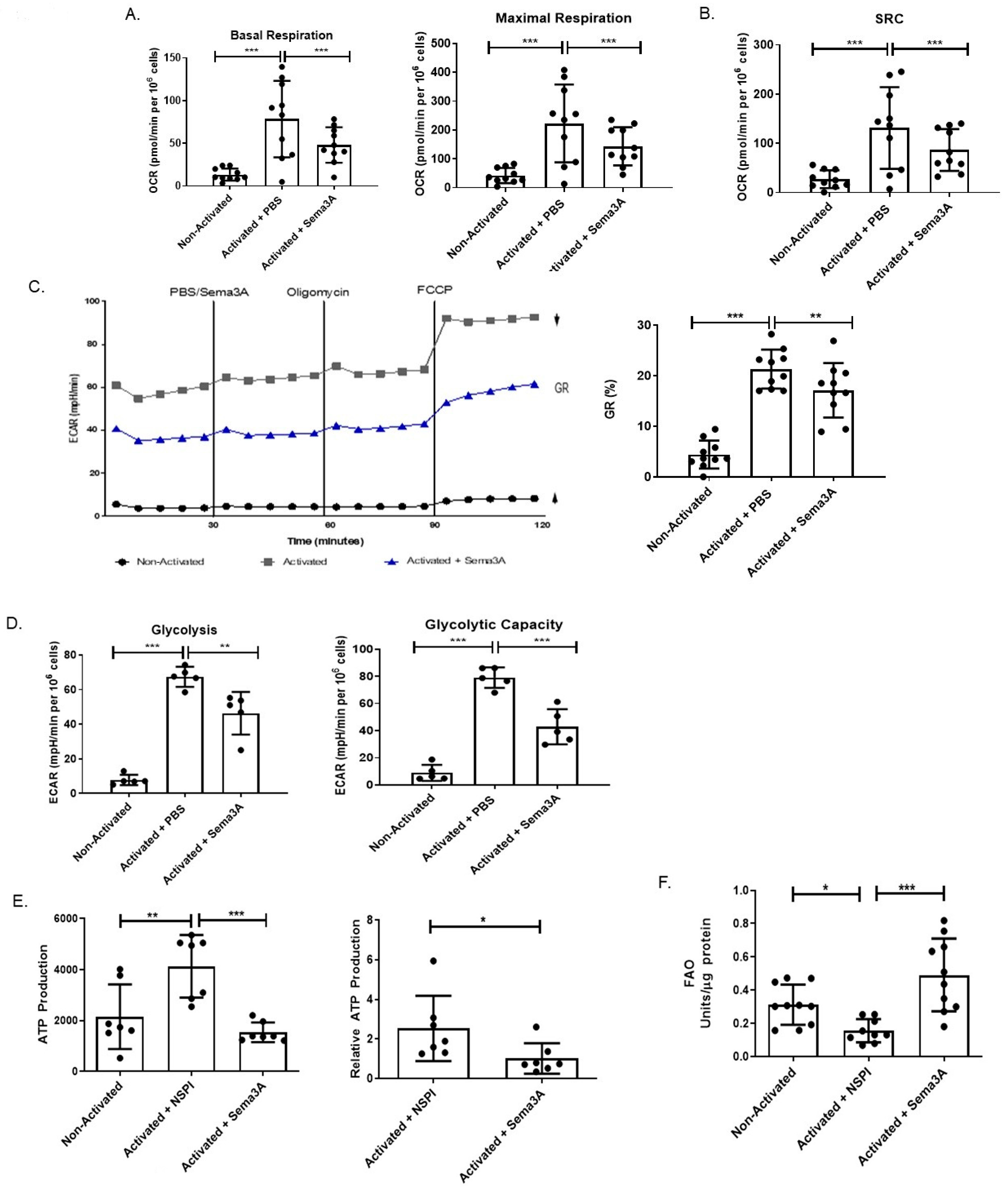 Ijms 26 11160 g005 Ijms 26 11160 g005