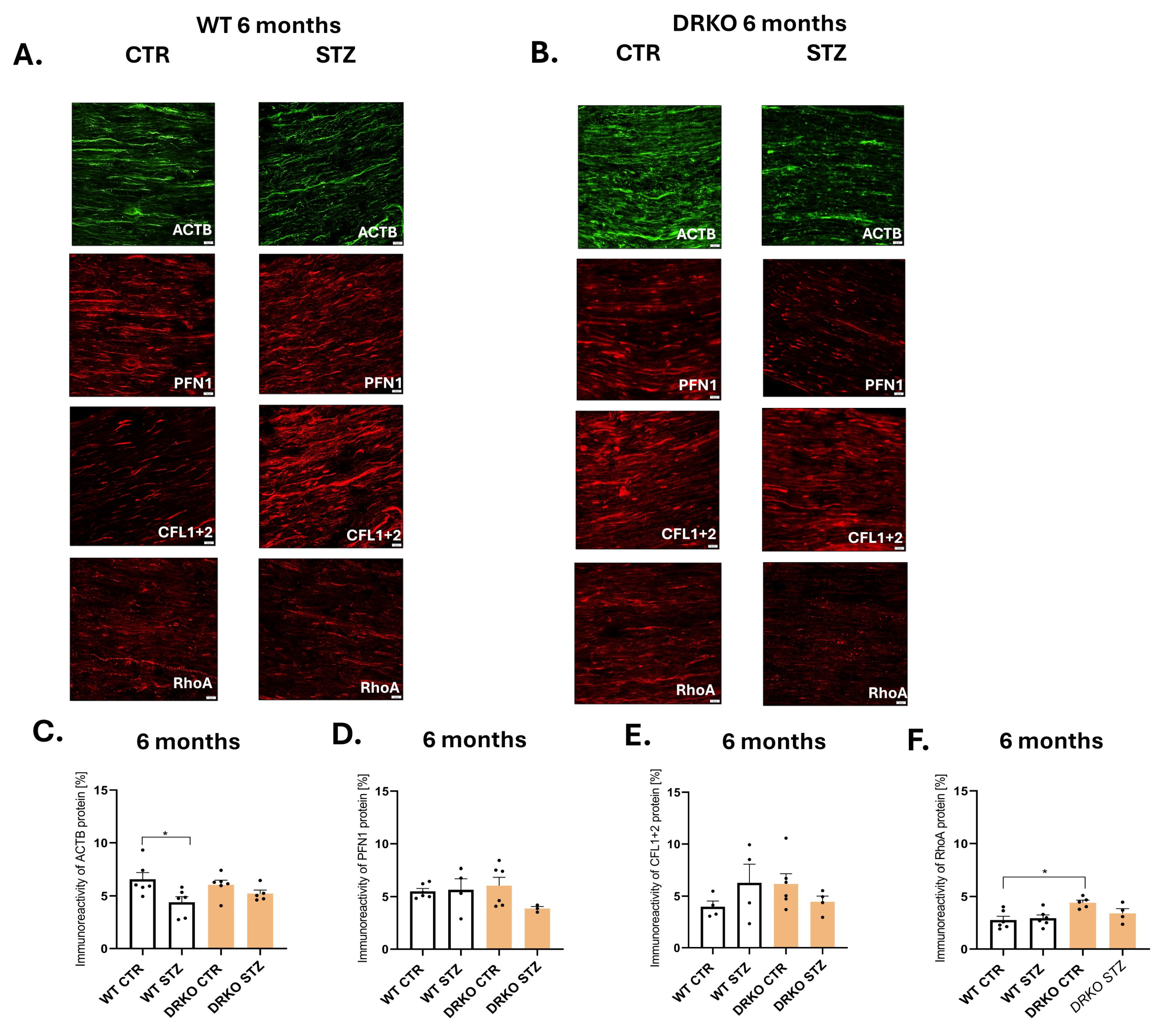 Ijms 26 11182 g002 Ijms 26 11182 g002