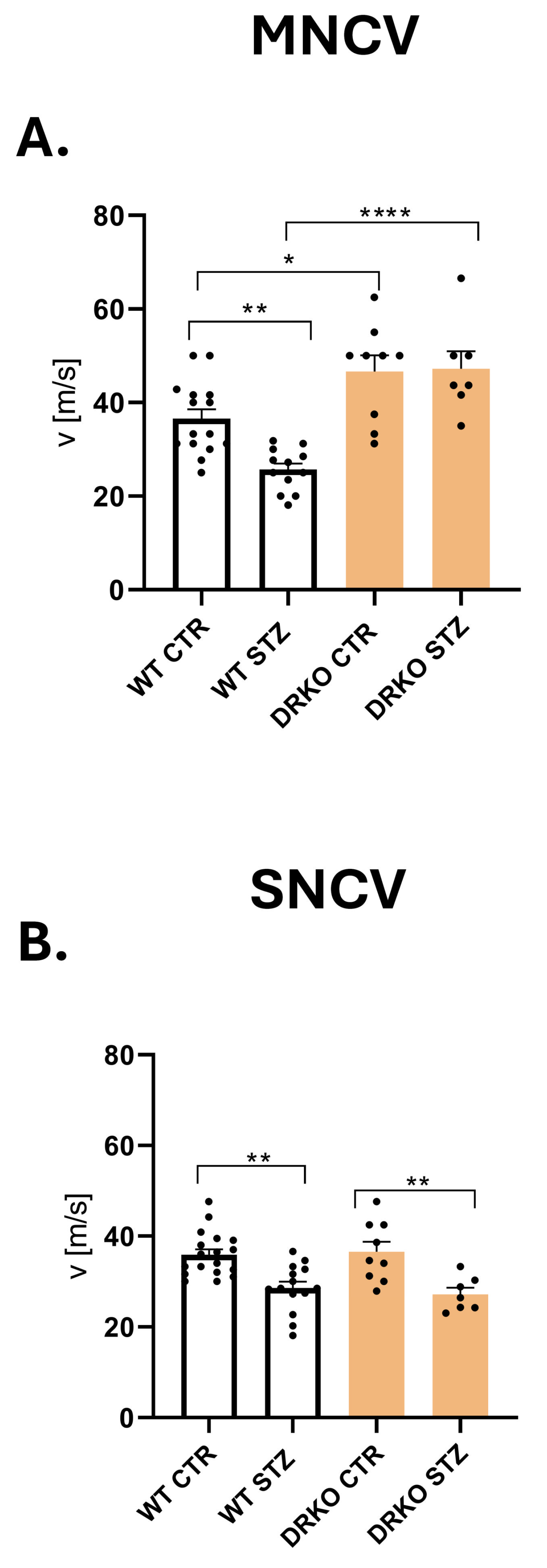 Ijms 26 11182 g006 Ijms 26 11182 g006