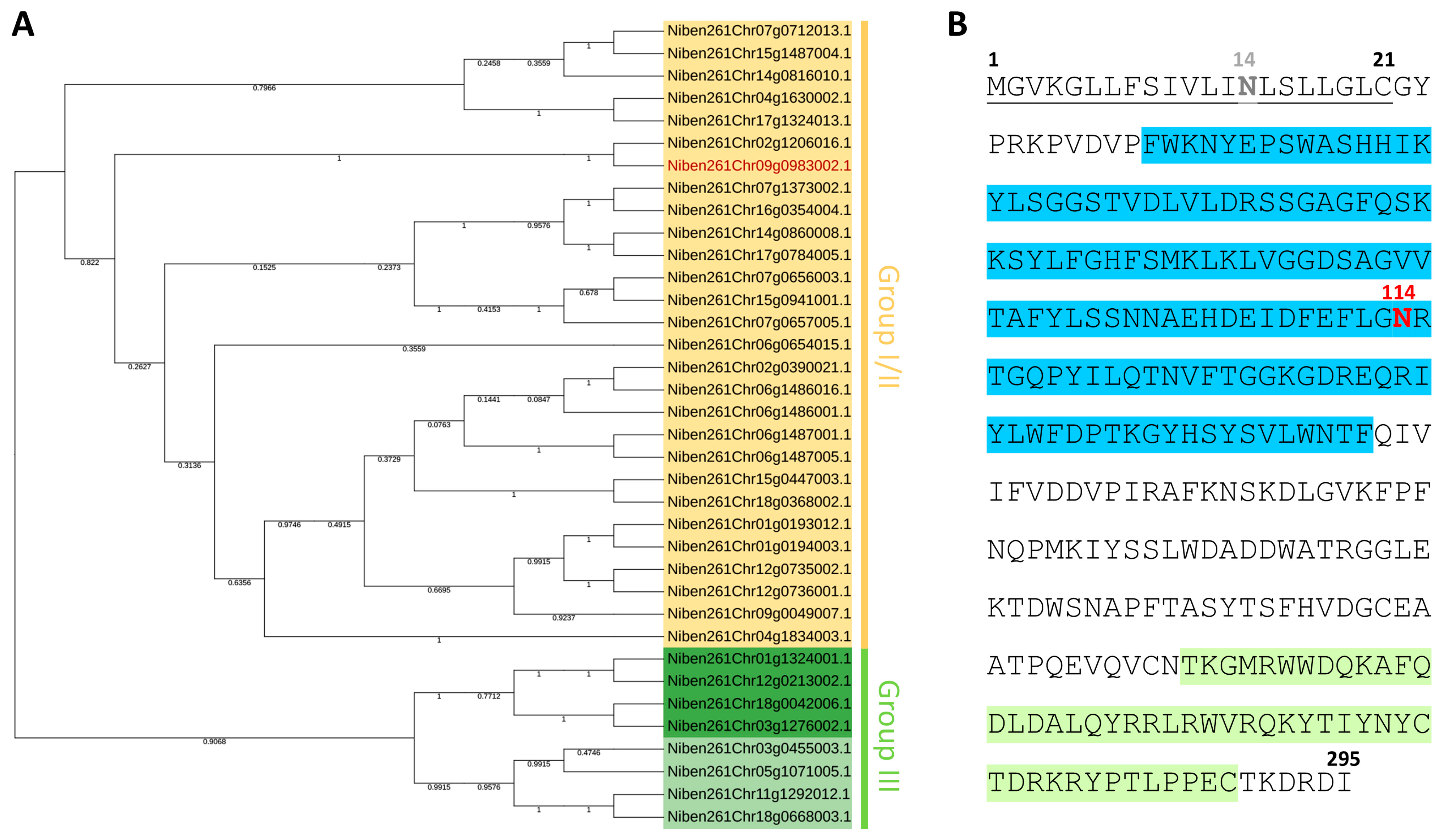 Ijms 26 11183 g001 Ijms 26 11183 g001