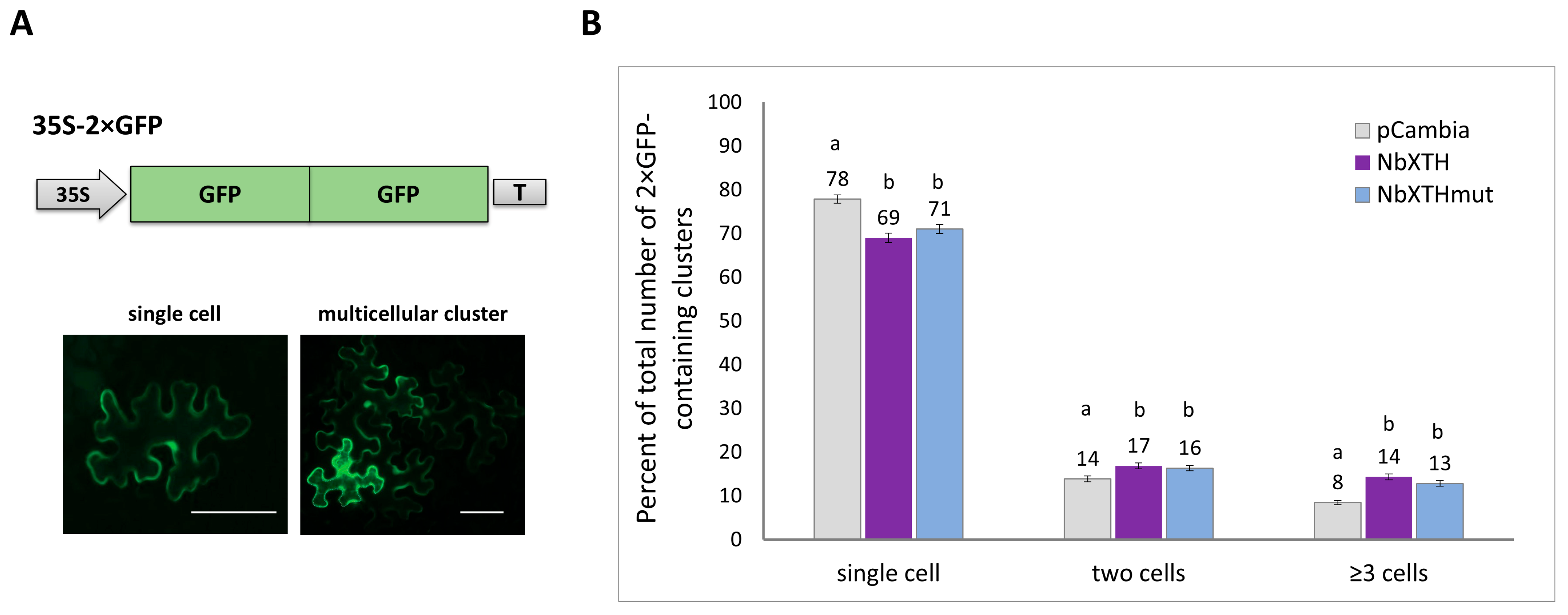 Ijms 26 11183 g003 Ijms 26 11183 g003