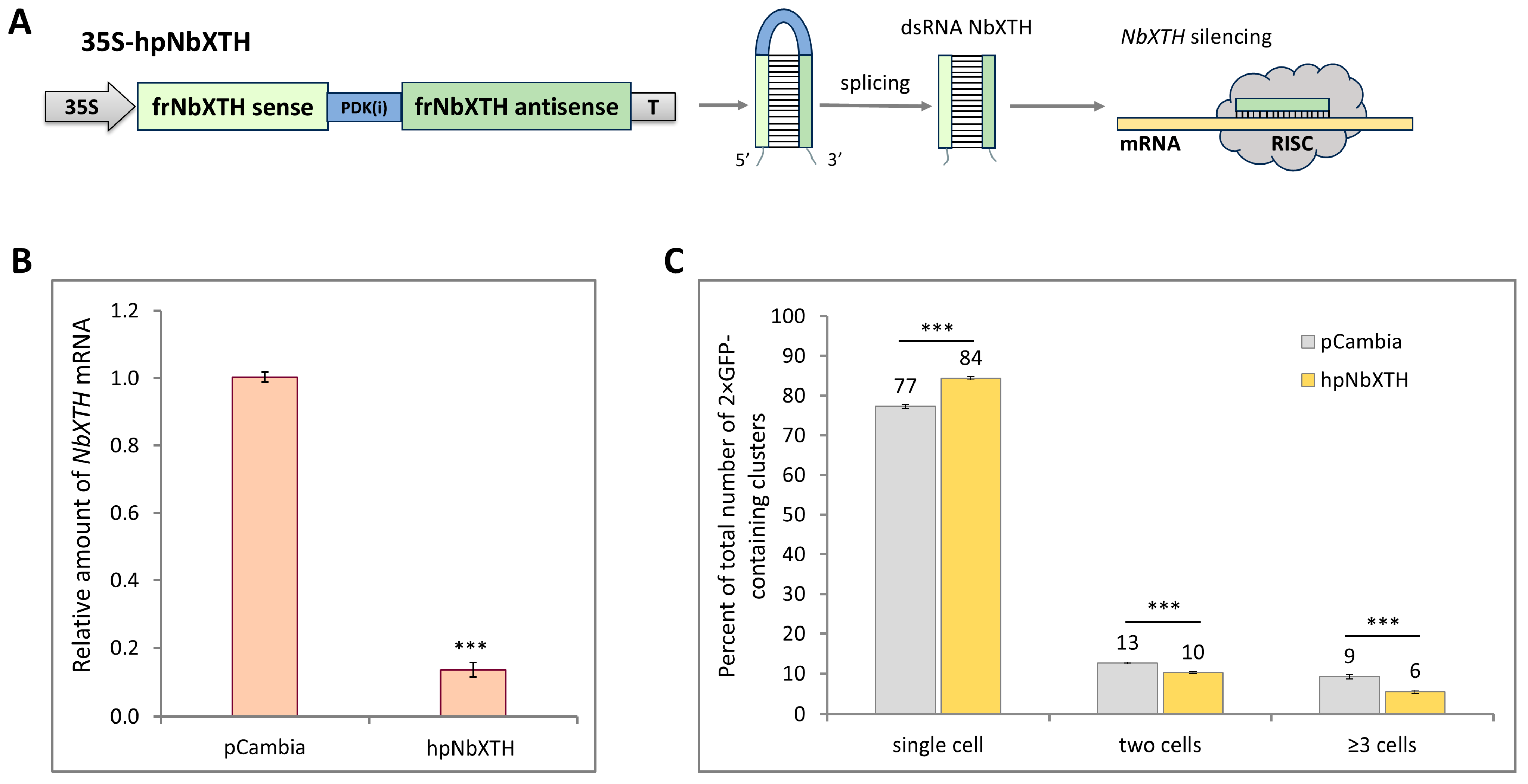 Ijms 26 11183 g004 Ijms 26 11183 g004