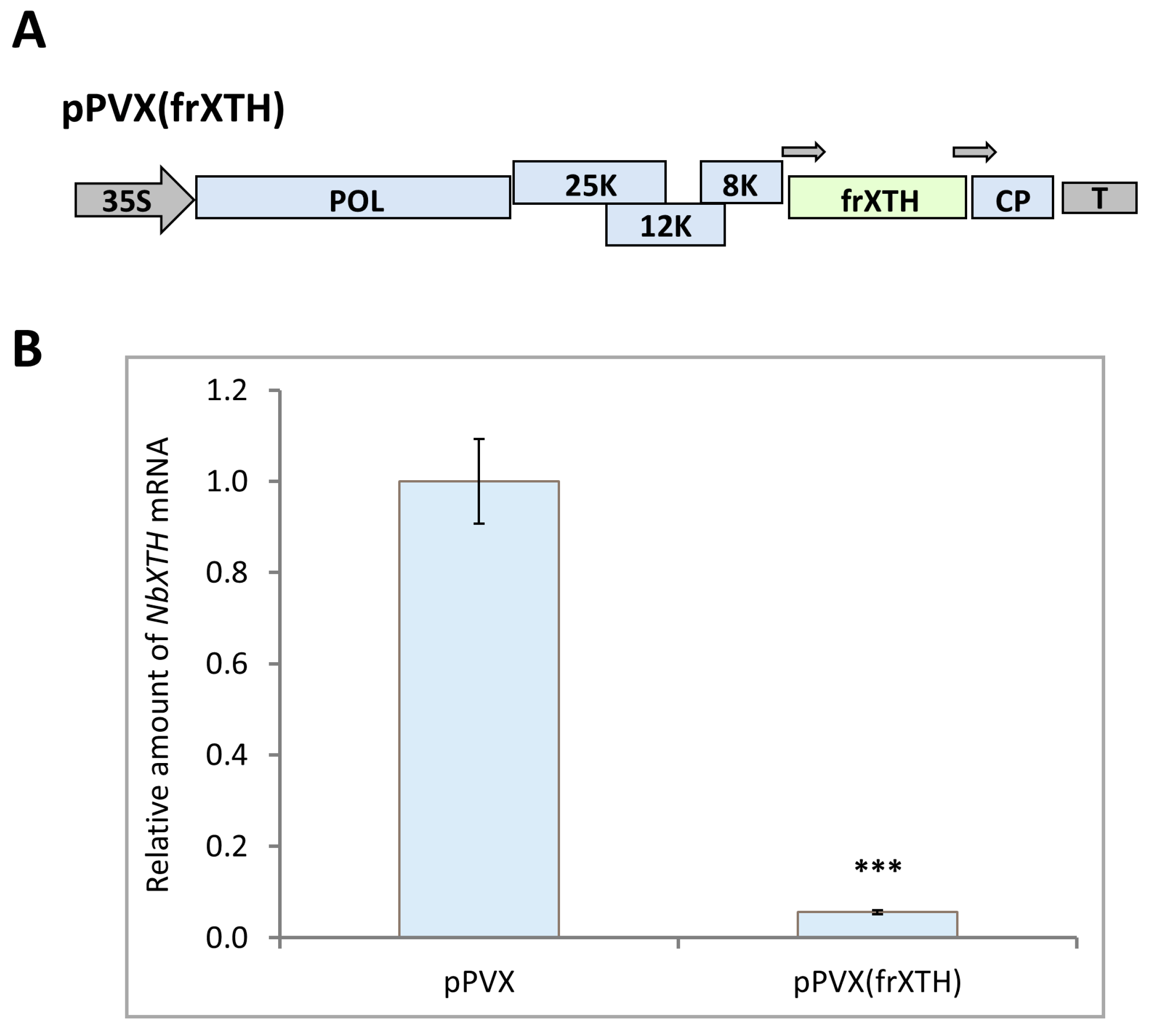 Ijms 26 11183 g005 Ijms 26 11183 g005