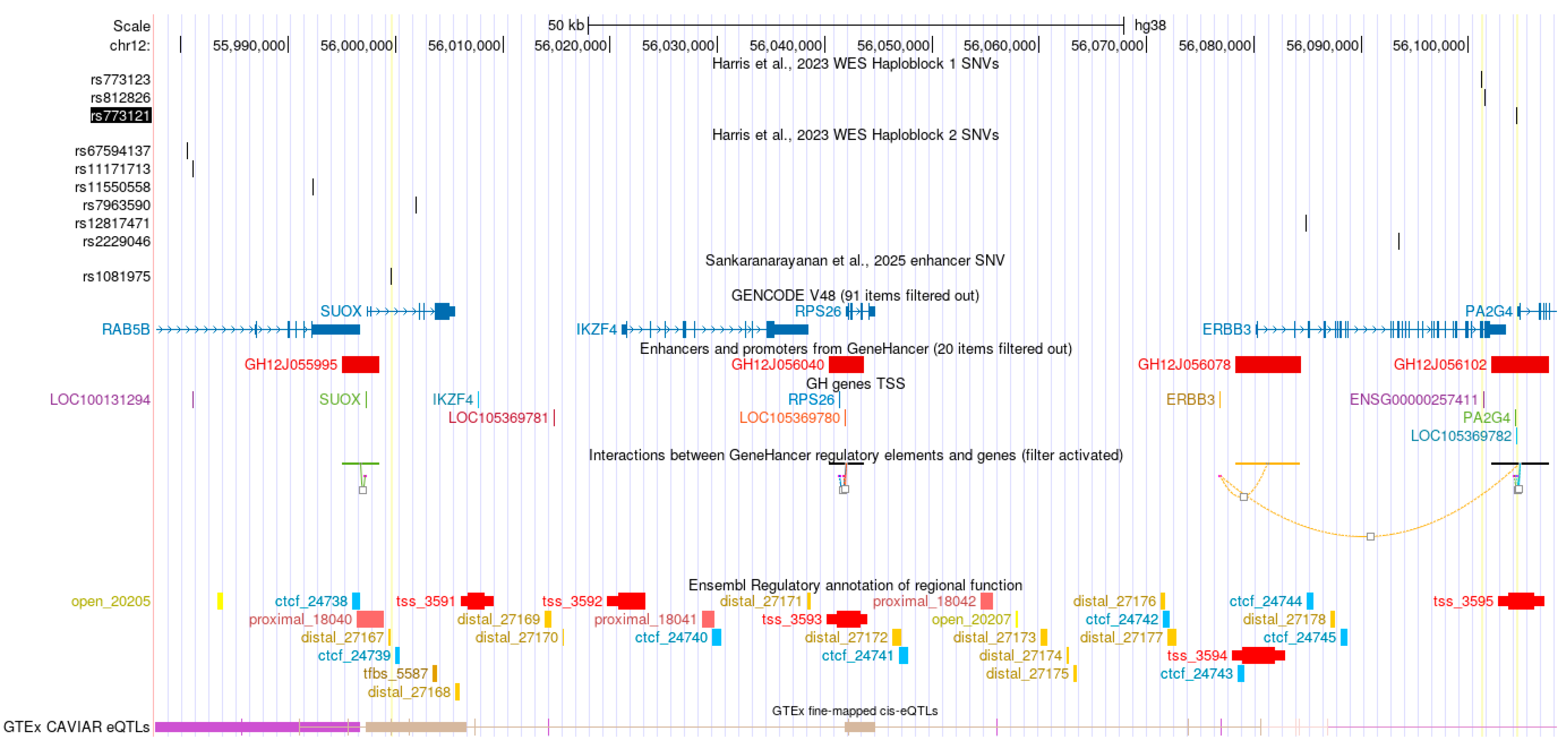Ijms 26 11184 g001 Ijms 26 11184 g001
